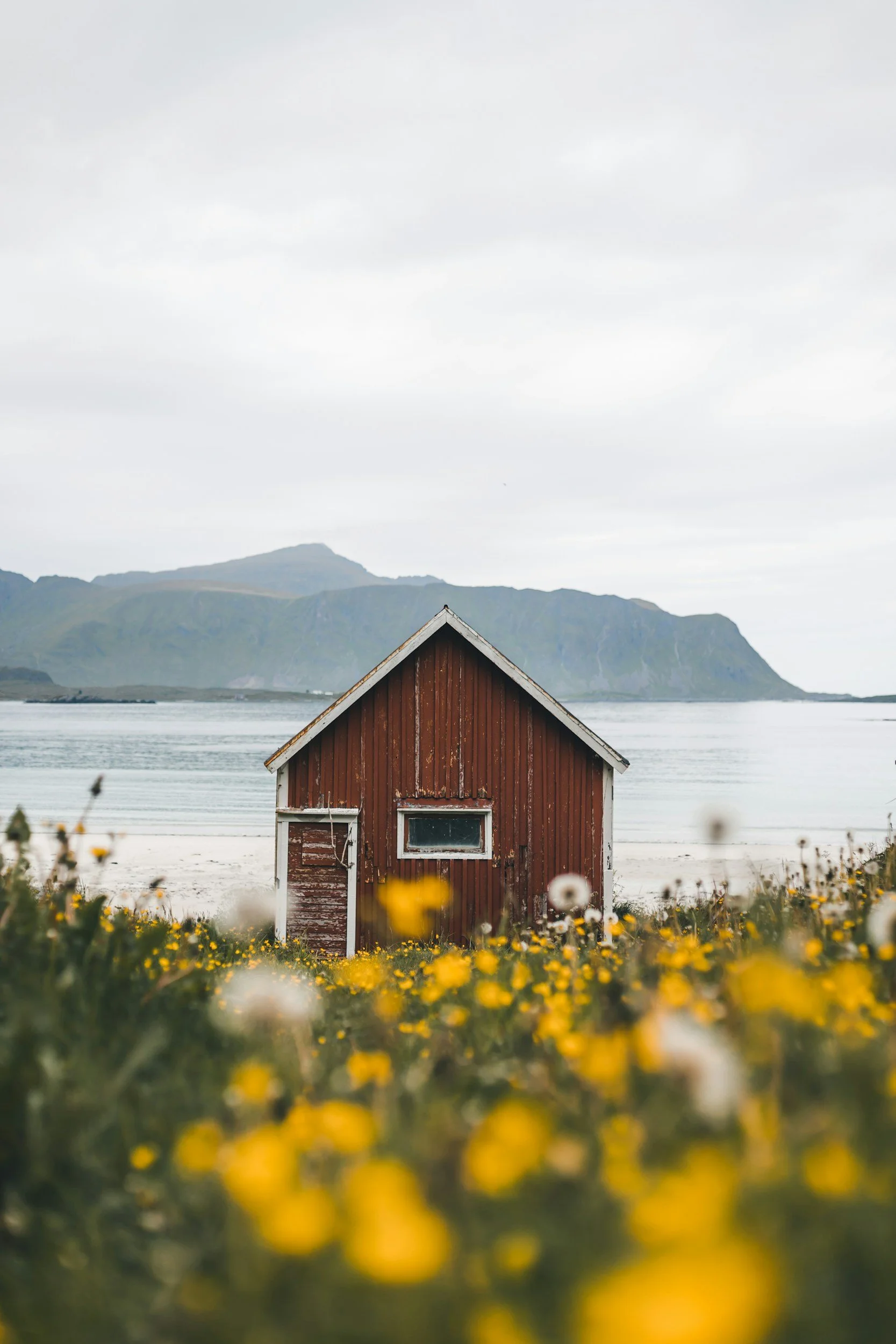 A red wooden house with white trim is situated on the shore of a body of water, with mountains in the background. The scene is framed by yellow wildflowers in the foreground under an overcast sky.