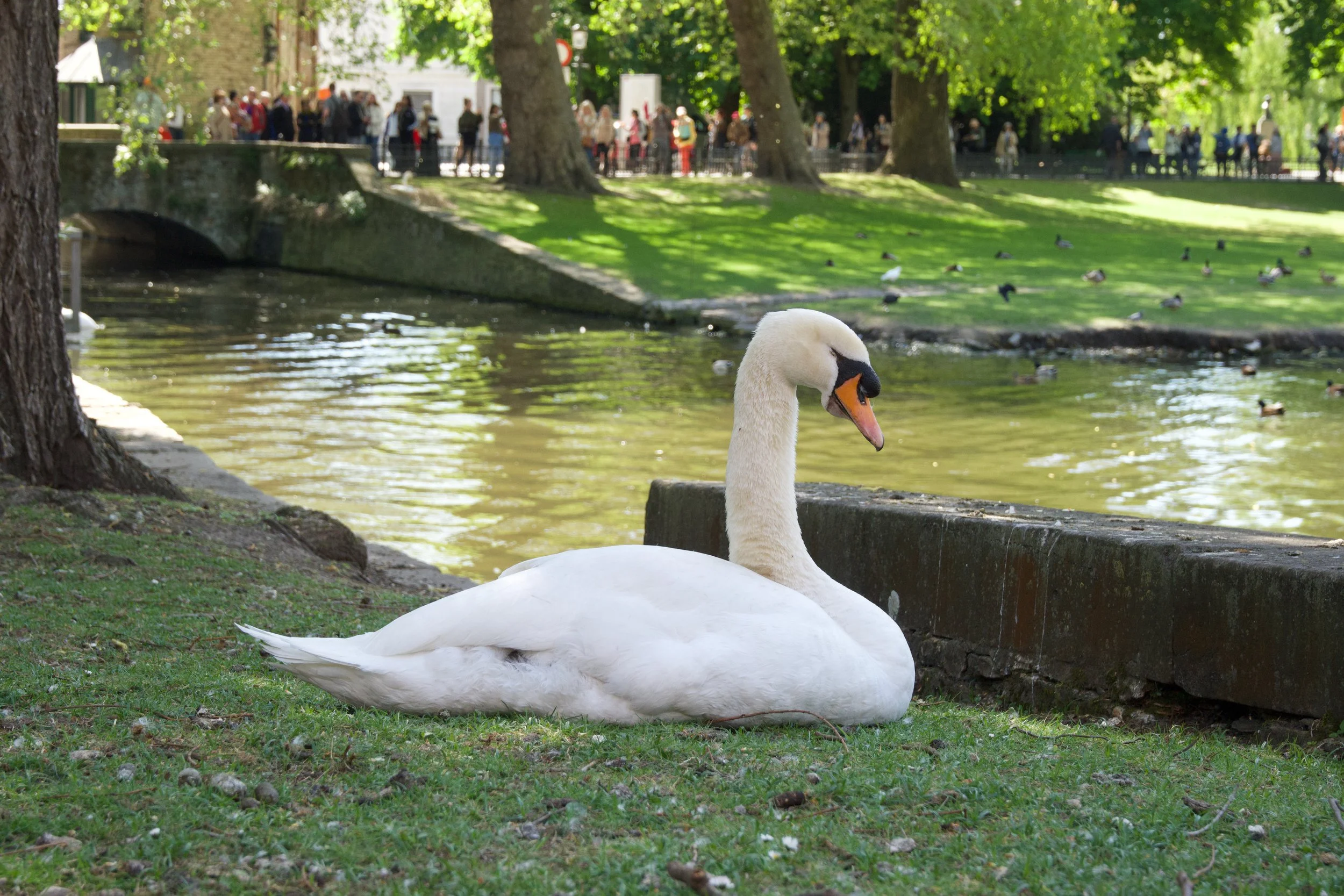 DSCF0857.jpg