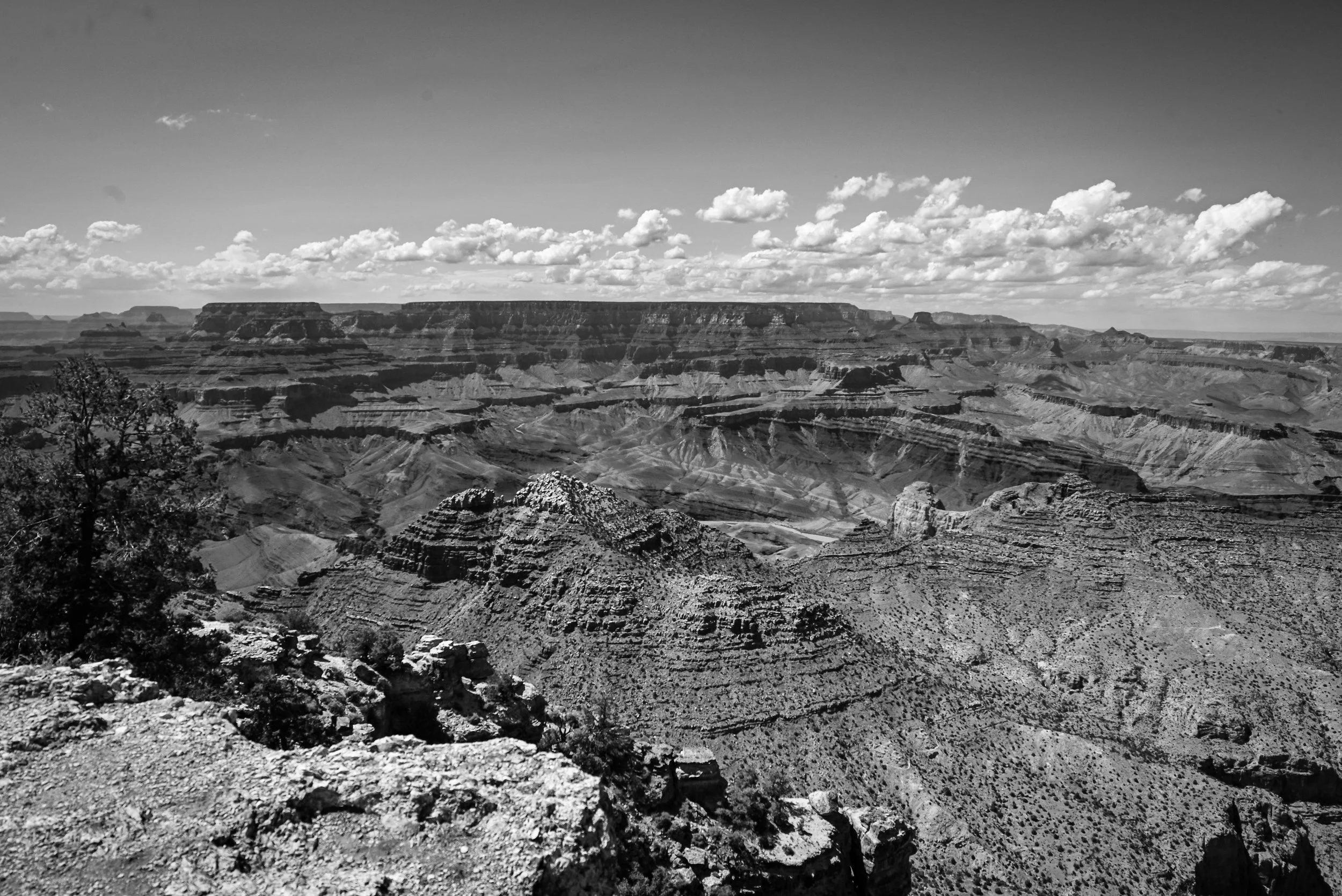 a2b6b570-855b-4636-ab58-2d2a69e59135_rw_3840.jpg