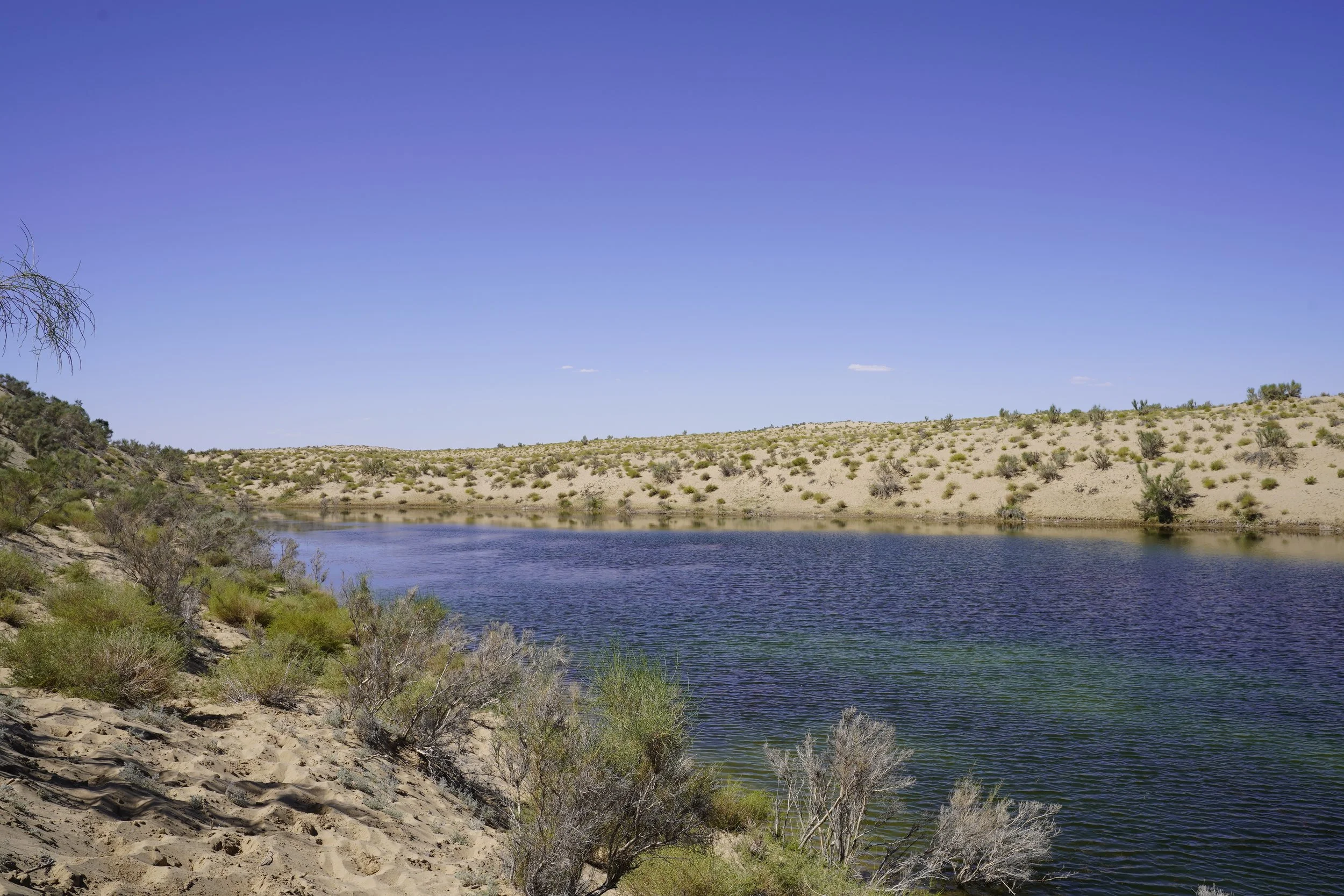 Open water between the dunes, bordered by shrubs and green banks.