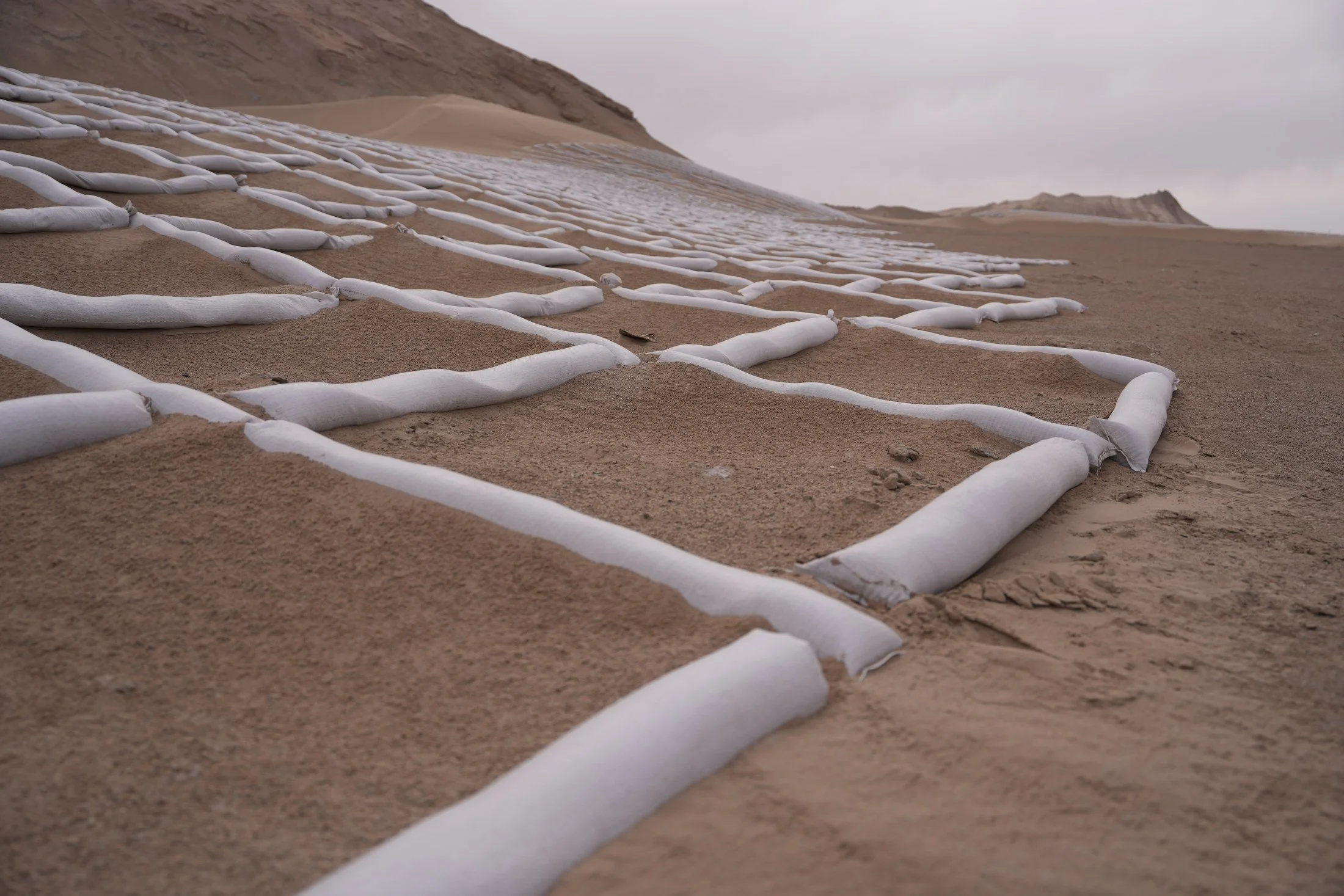 A ground-level view of checkerboard barriers in the Qaidam Basin. Regional observation, outside the project site.