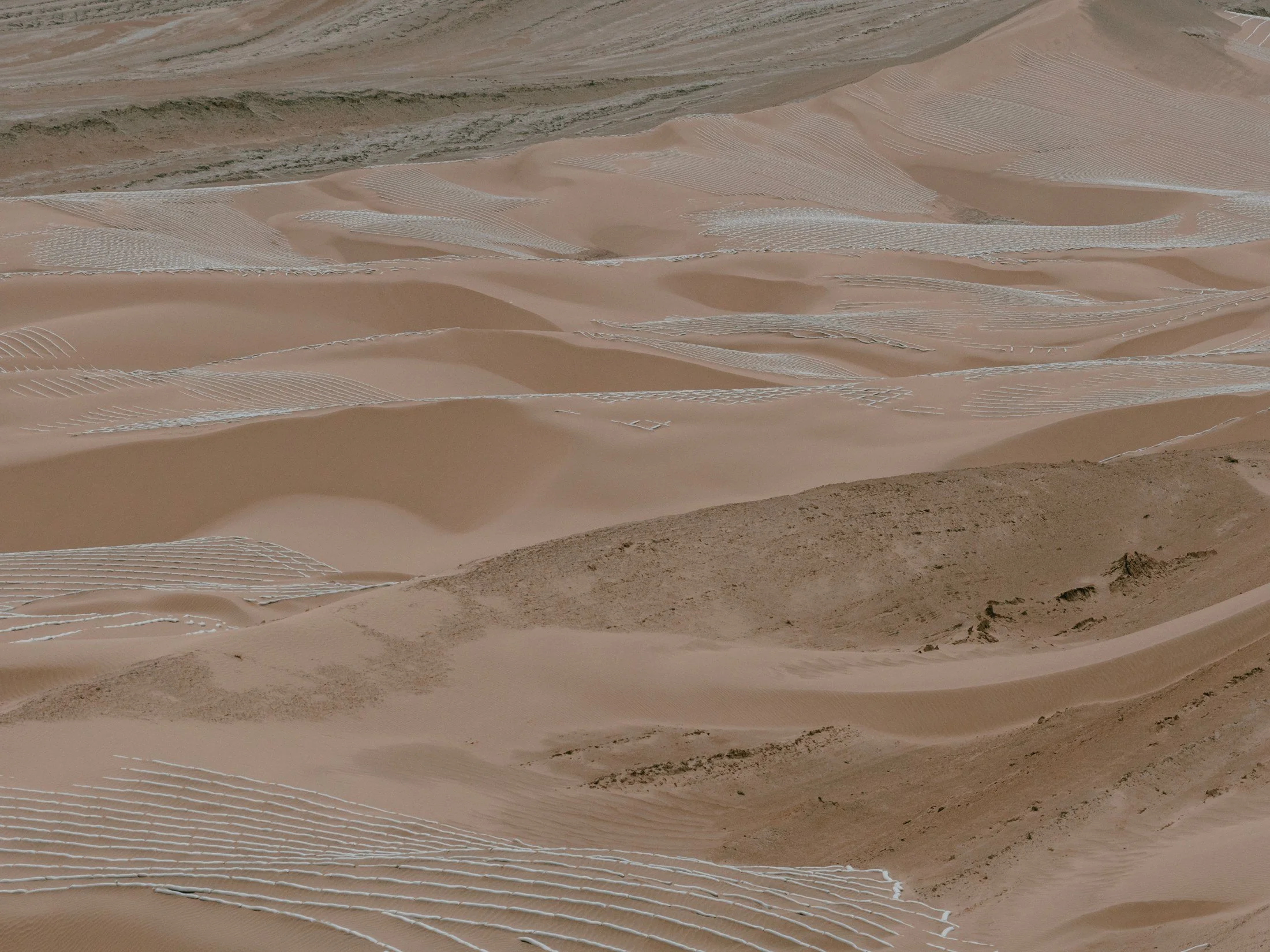 Sand checkerboards across dunes. Observed during a field journey in the Qaidam Basin; outside the project site.