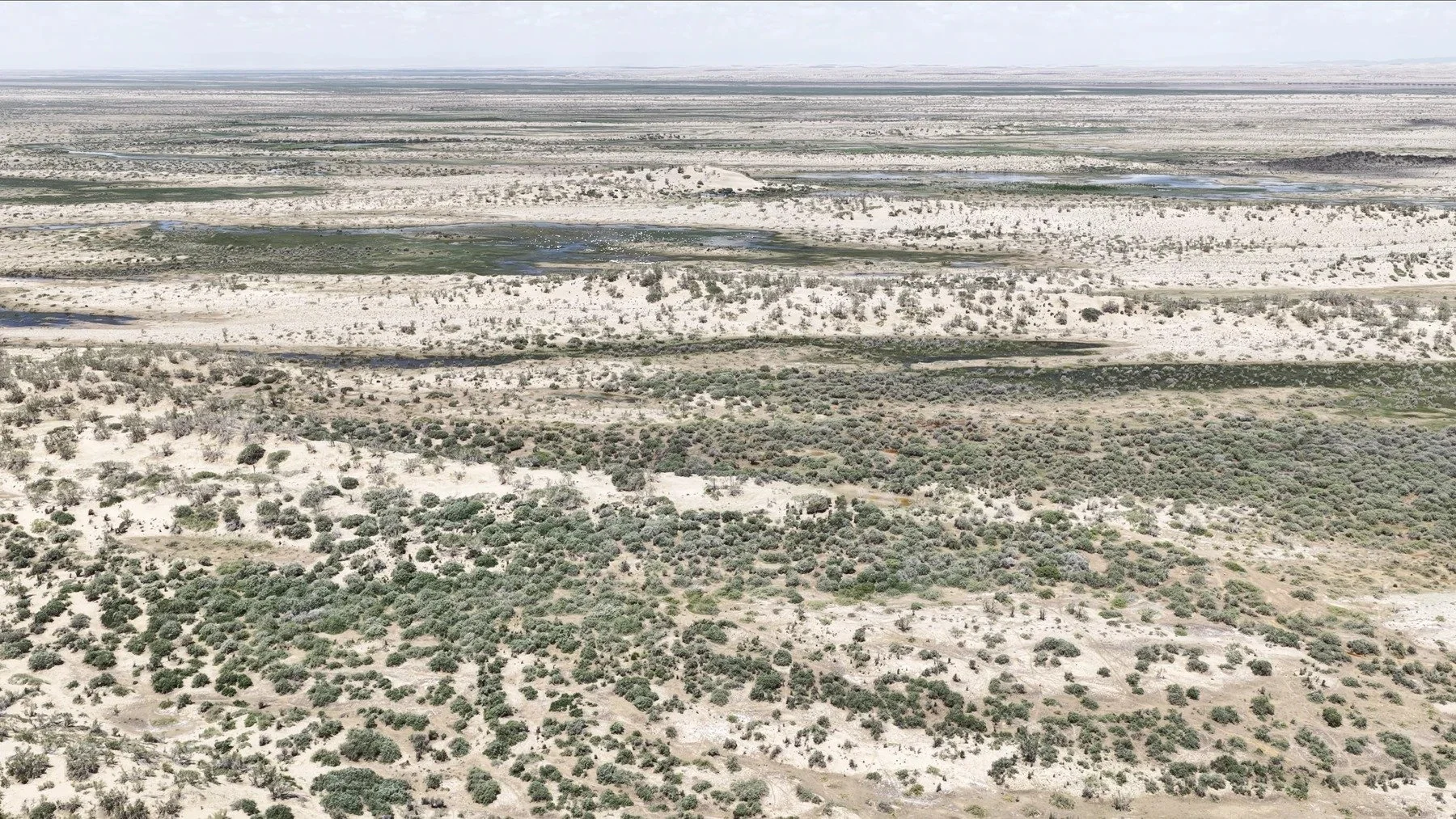 Restoration in progress · Qaidam Basin
