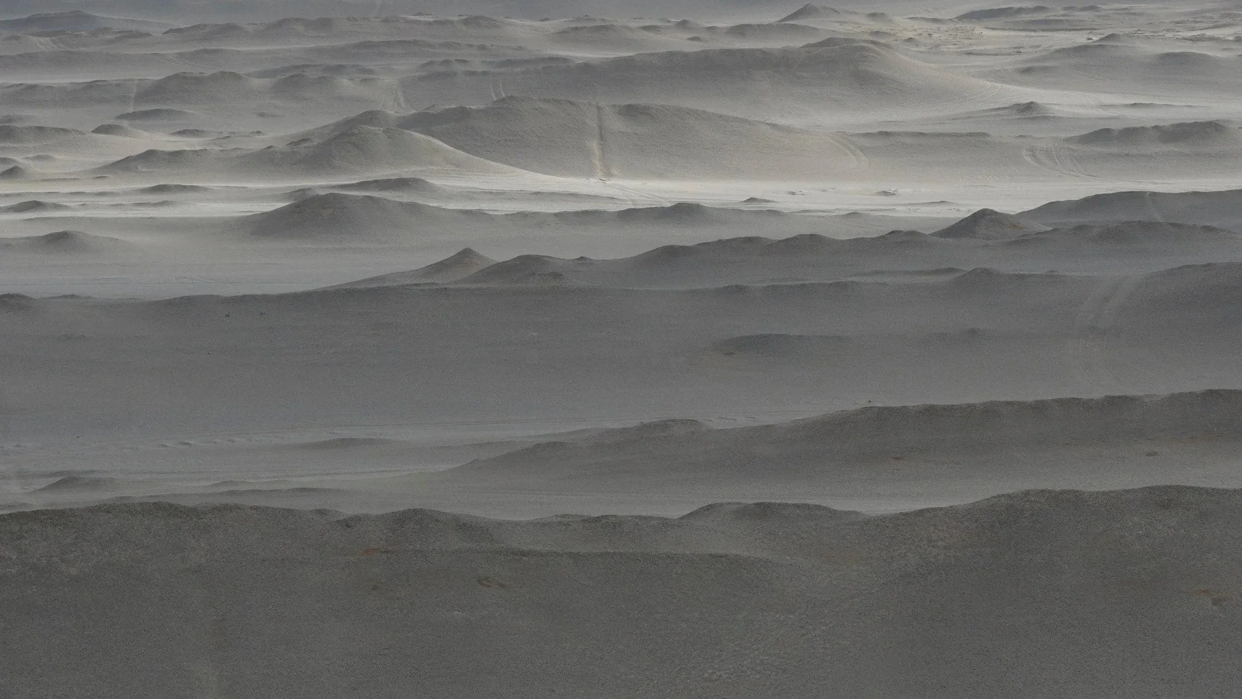 Unrestored desert site · Qaidam Basin
