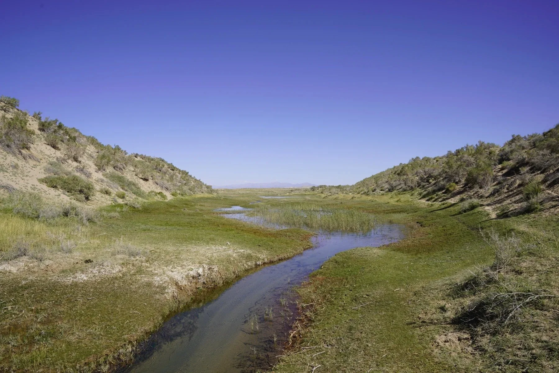 A late-summer stream · Qaidam Basin