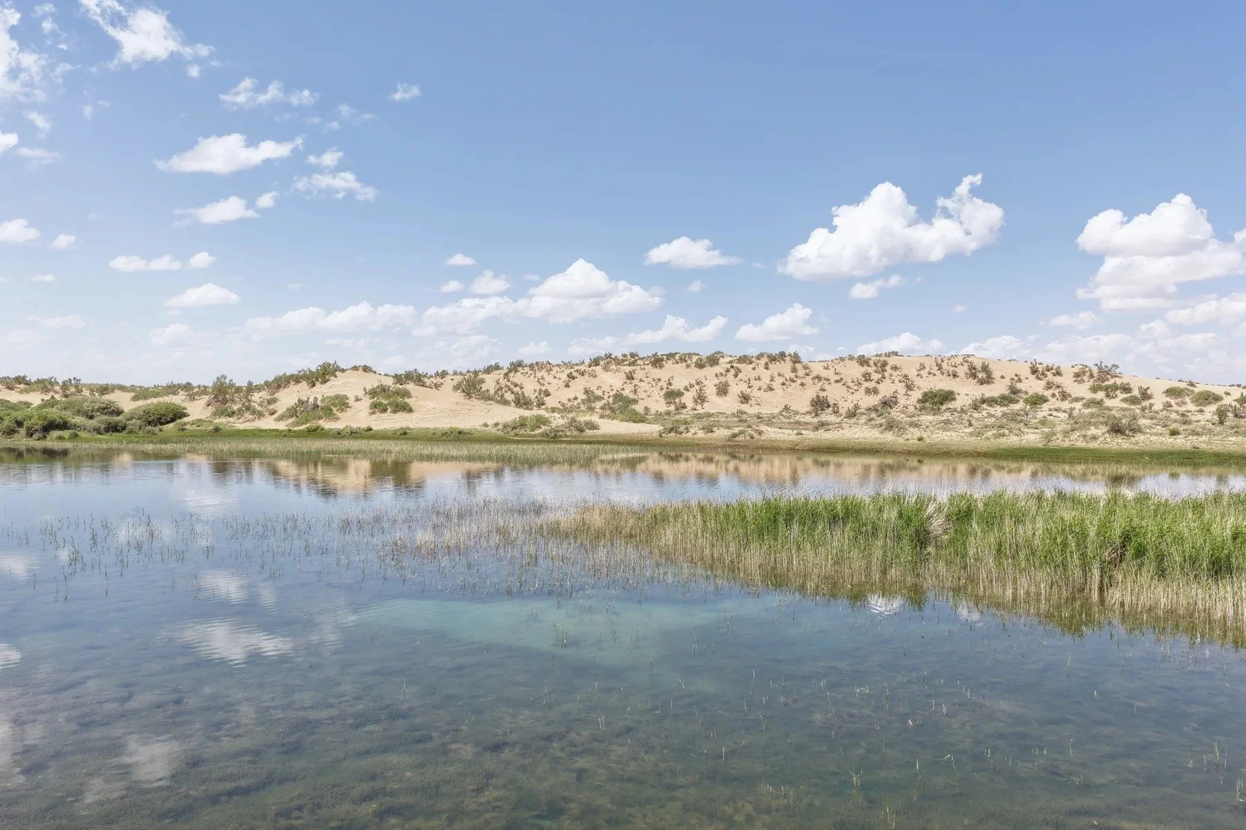 A lake among the dunes · Qaidam Basin