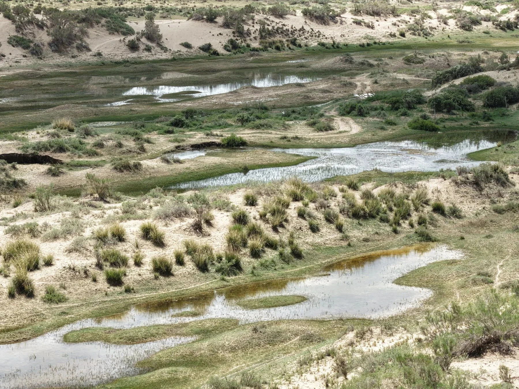 Along the water · Qaidam Basin