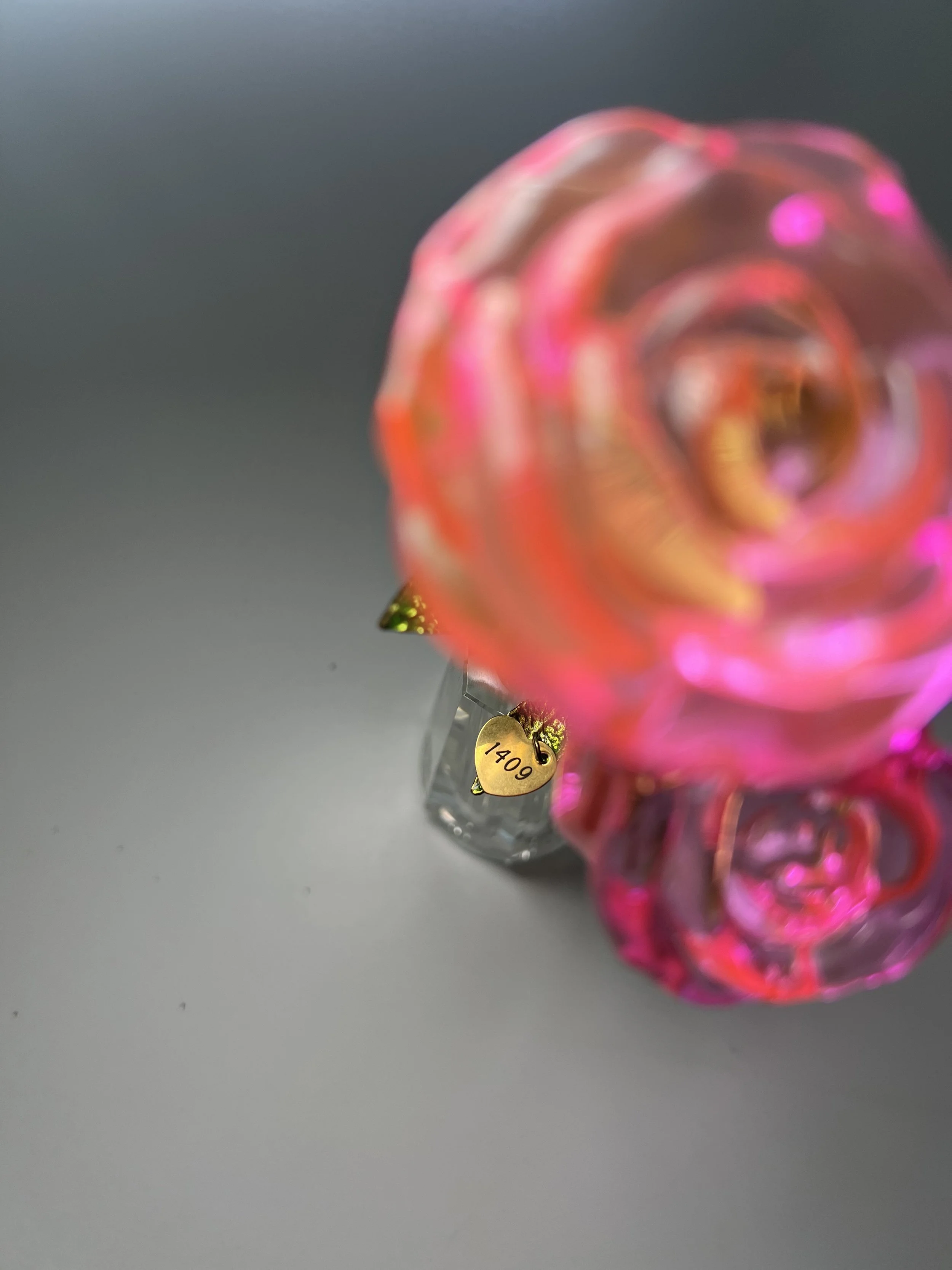 IMG_6198.jpeg