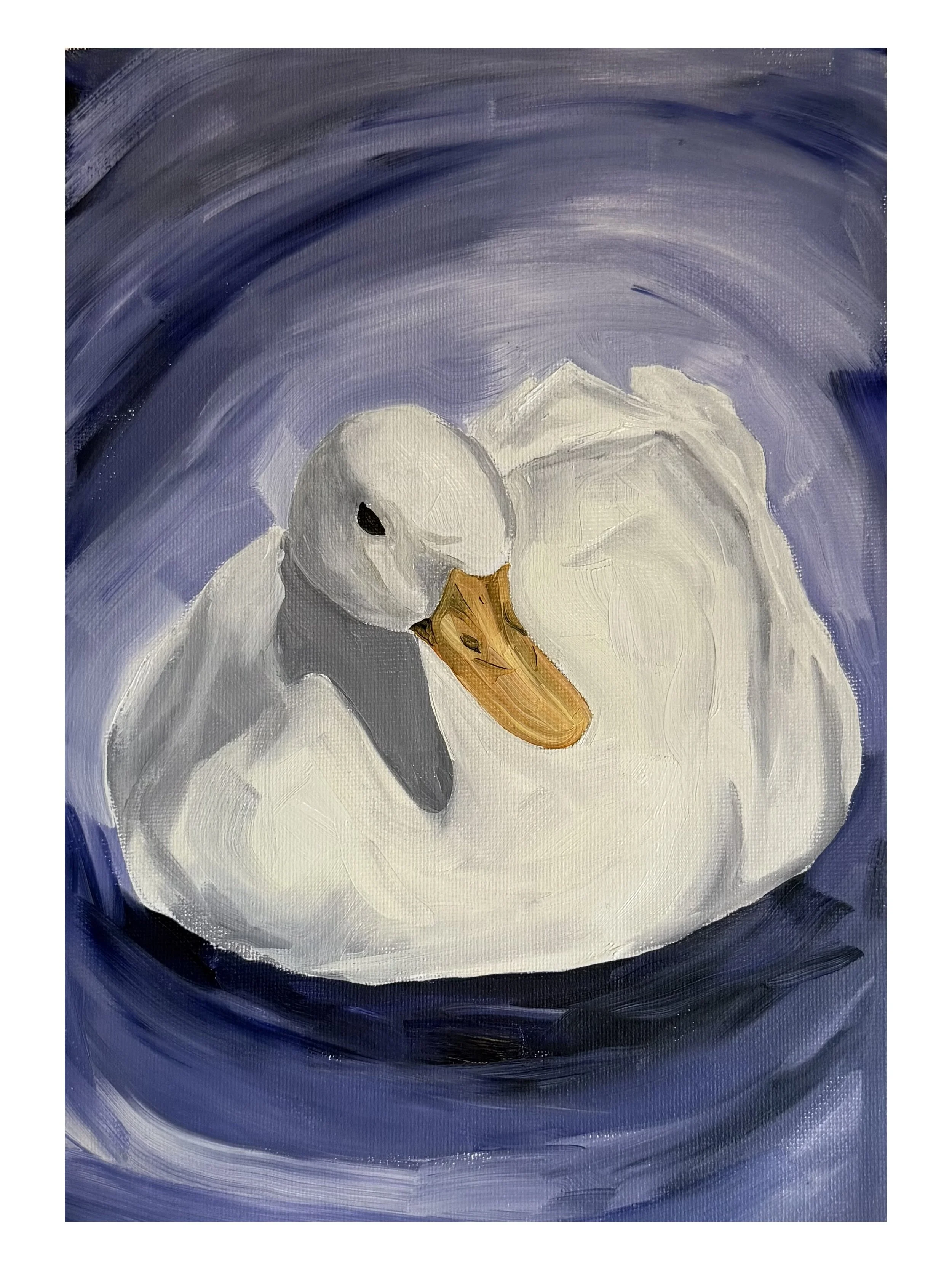 be friends with ducks.