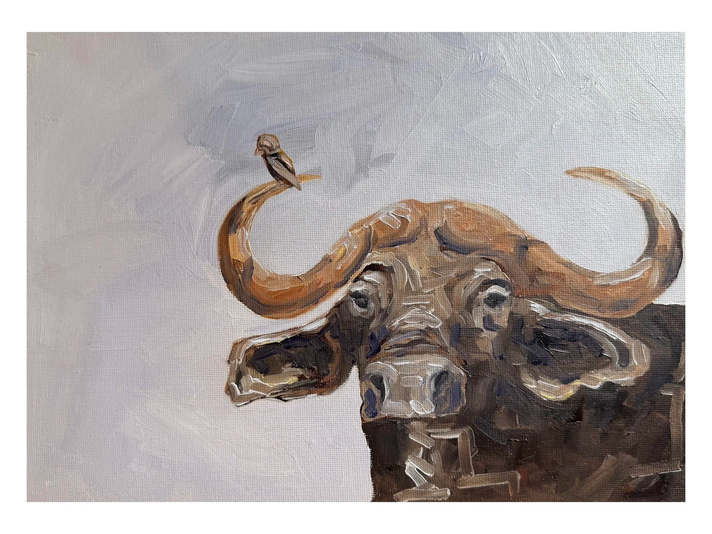 not a cow.