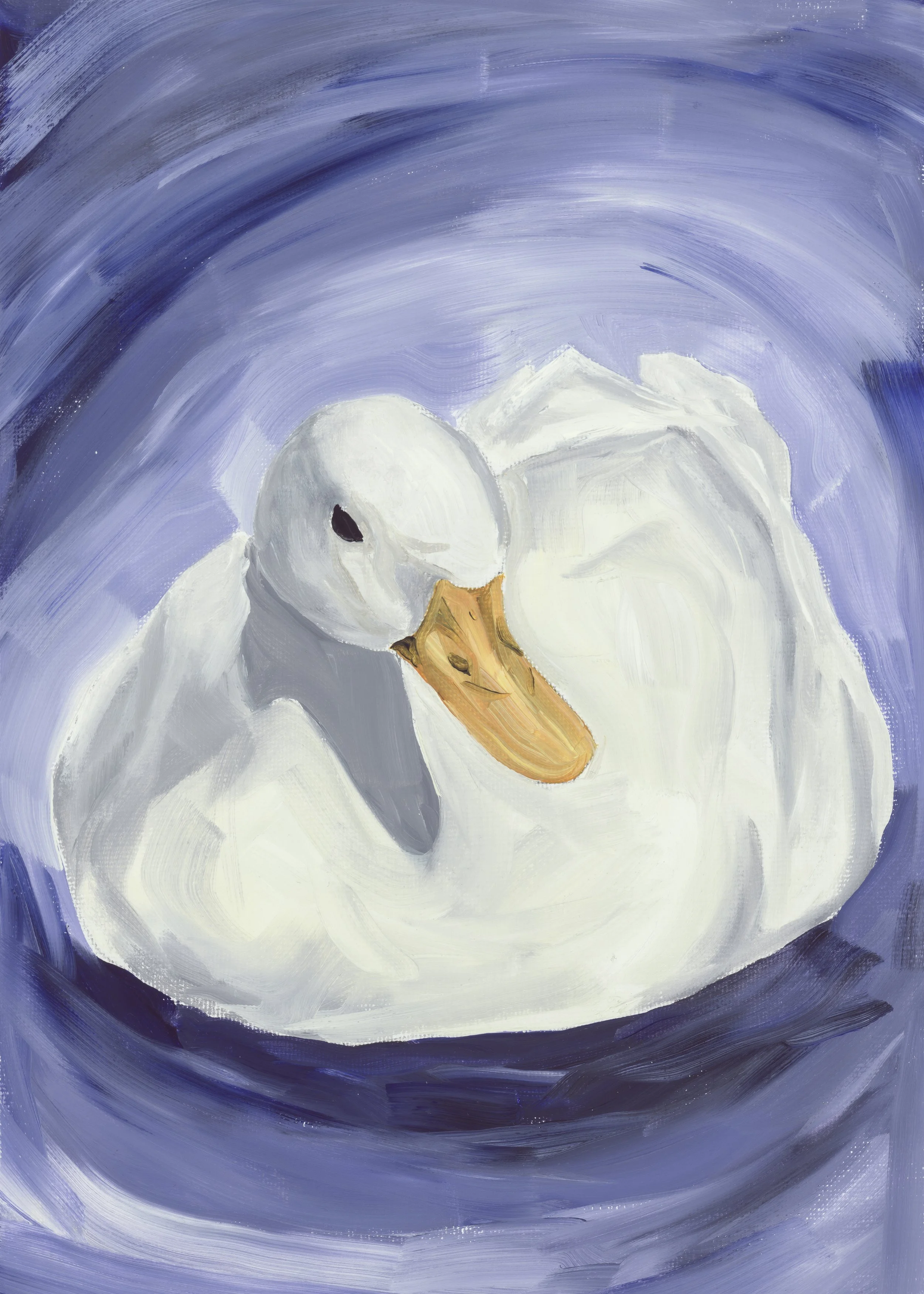 Priganc_Duck_Web.jpg