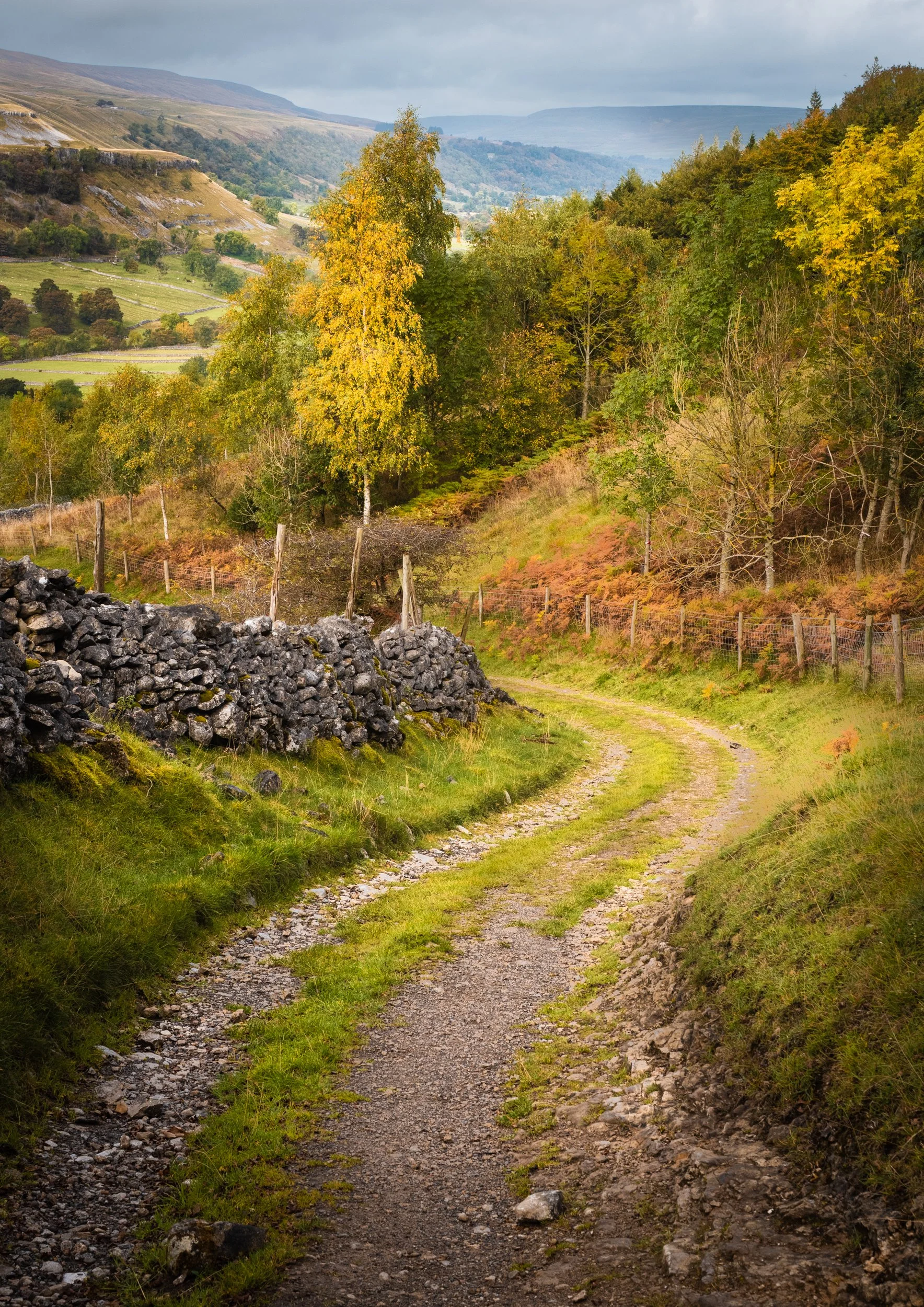 yorkshire-landscape-wharfedale-dalesway.jpg