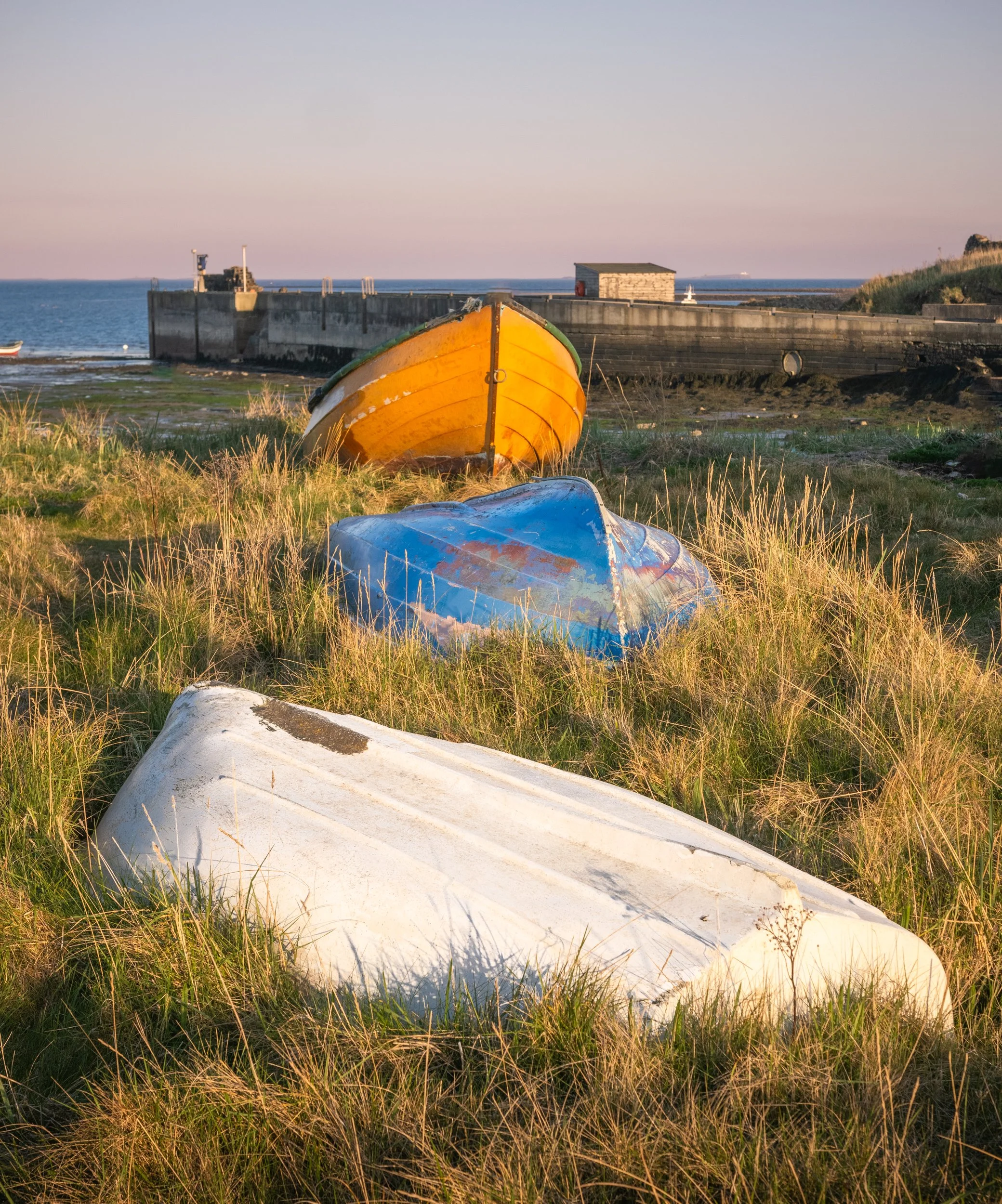 northumberland-landscape-10.jpg