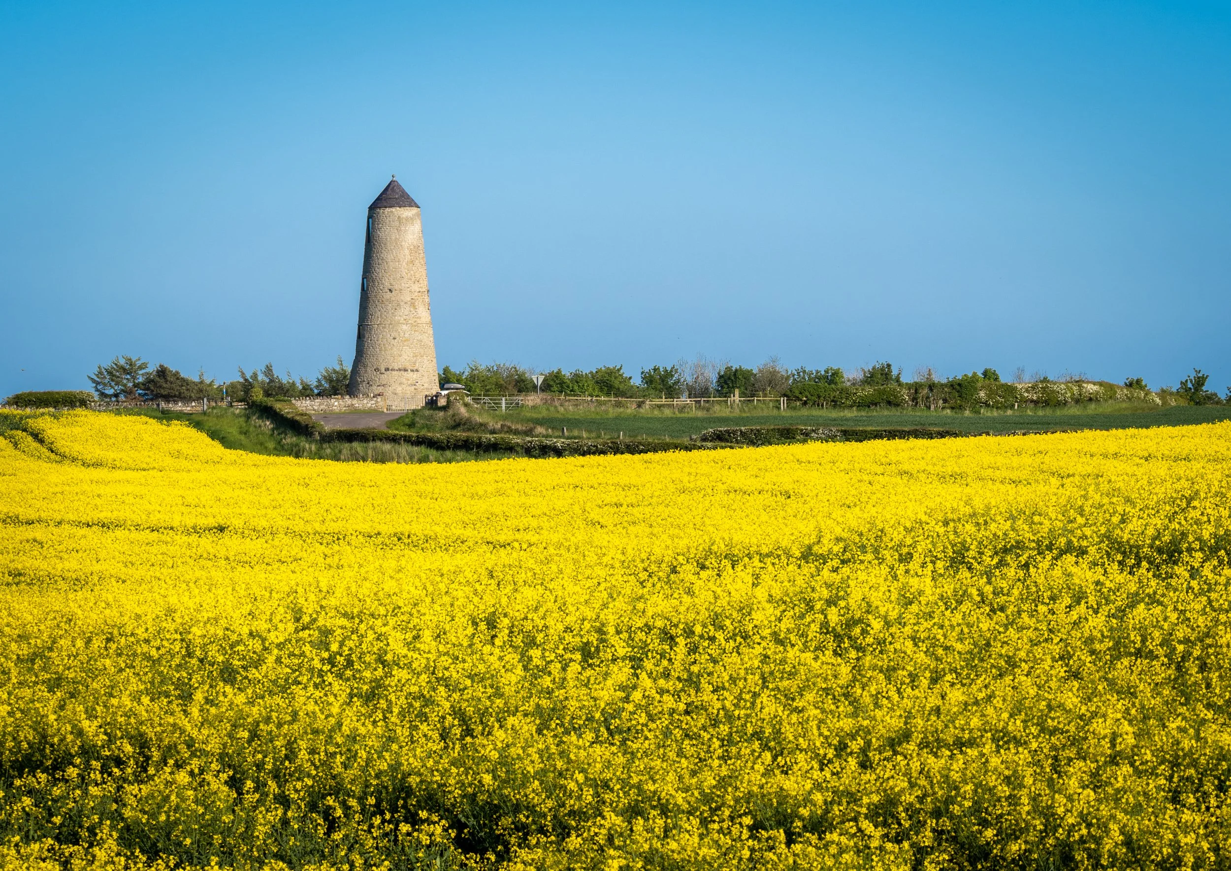 northumberland-landscape-3.jpg