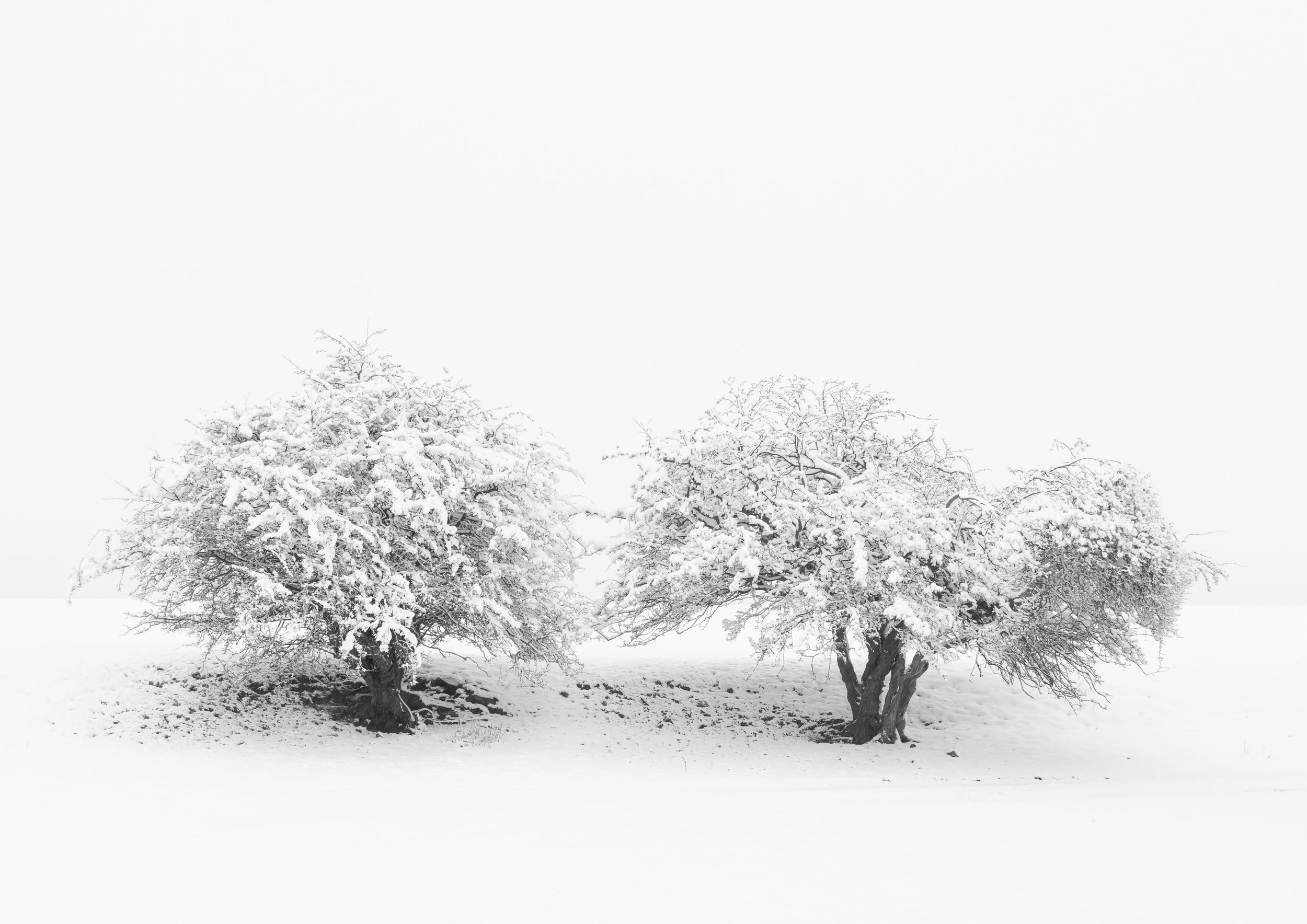 yorkshire-landscape-winterscape.jpg