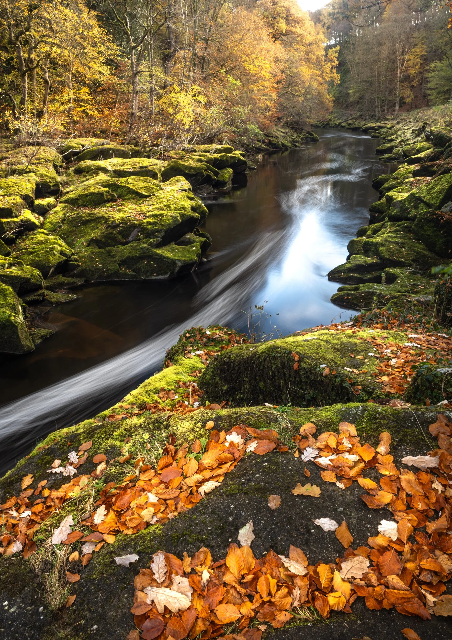 yorkshire-landscape-bolton-abbey-strid.jpg