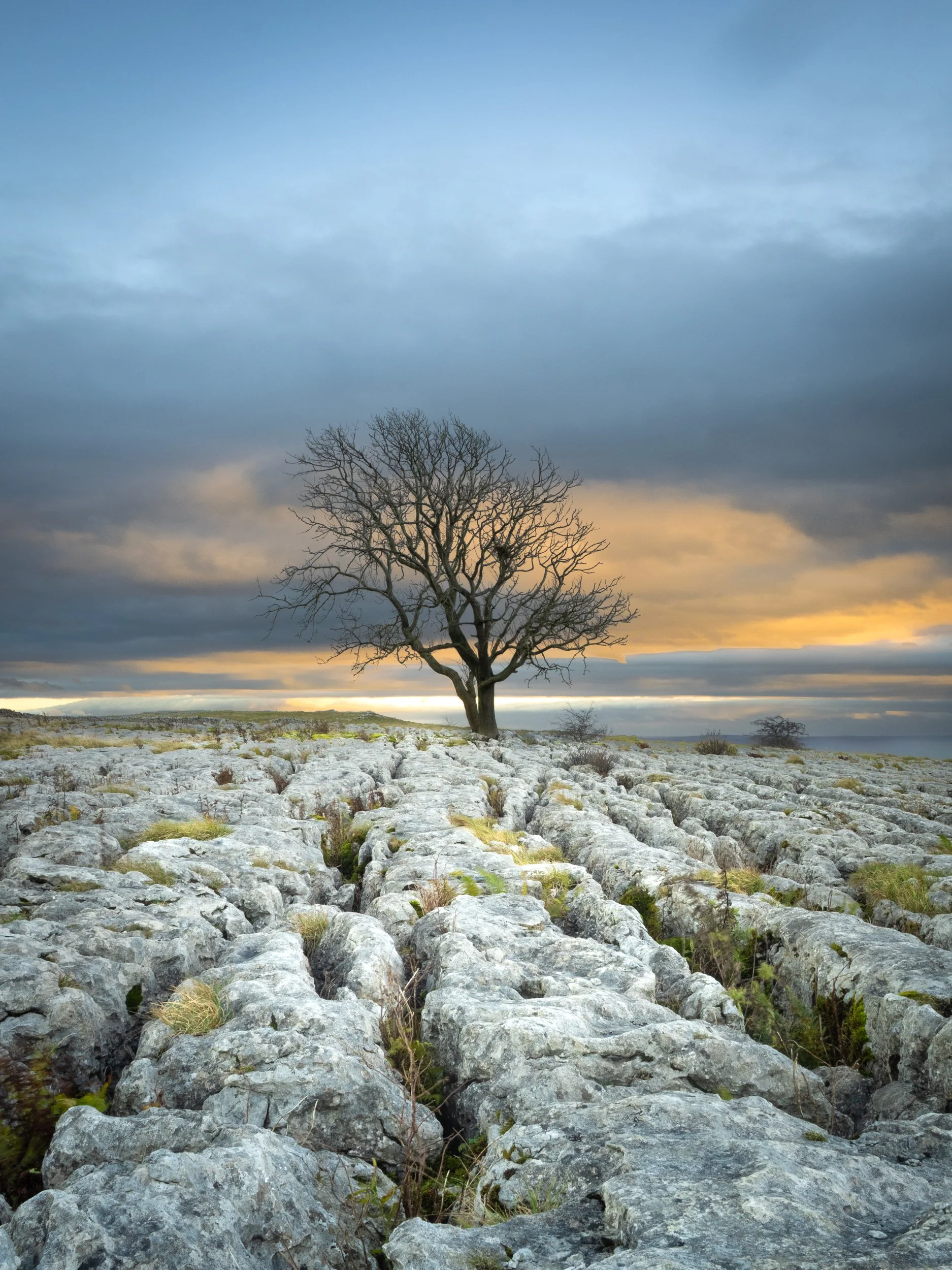 yorkshire-landscape-malham.jpg