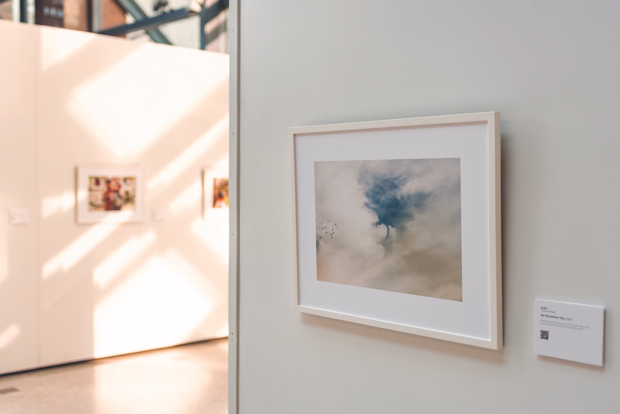 Seva Art Gallery Event - 1615714.jpg