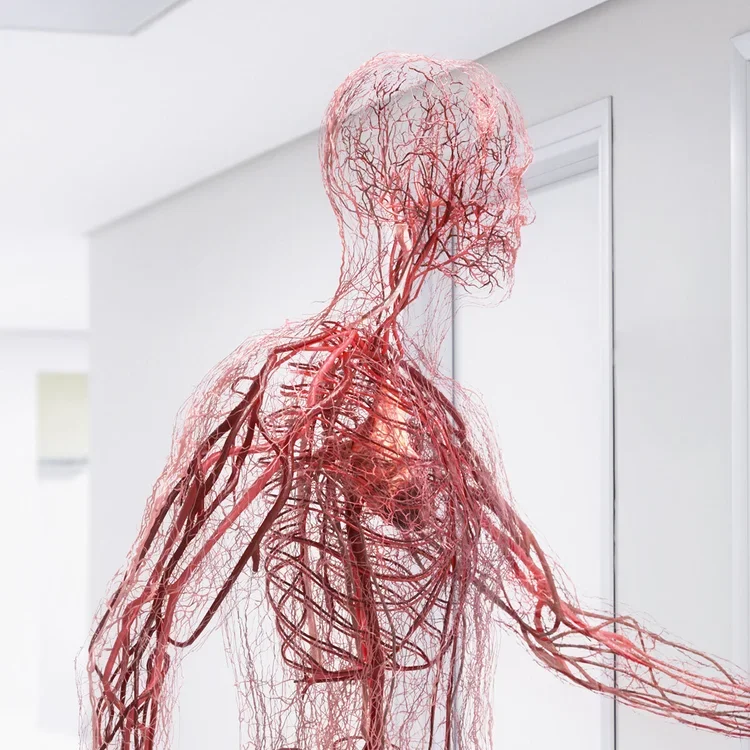 B.Braun Medical:<br>Vien Man