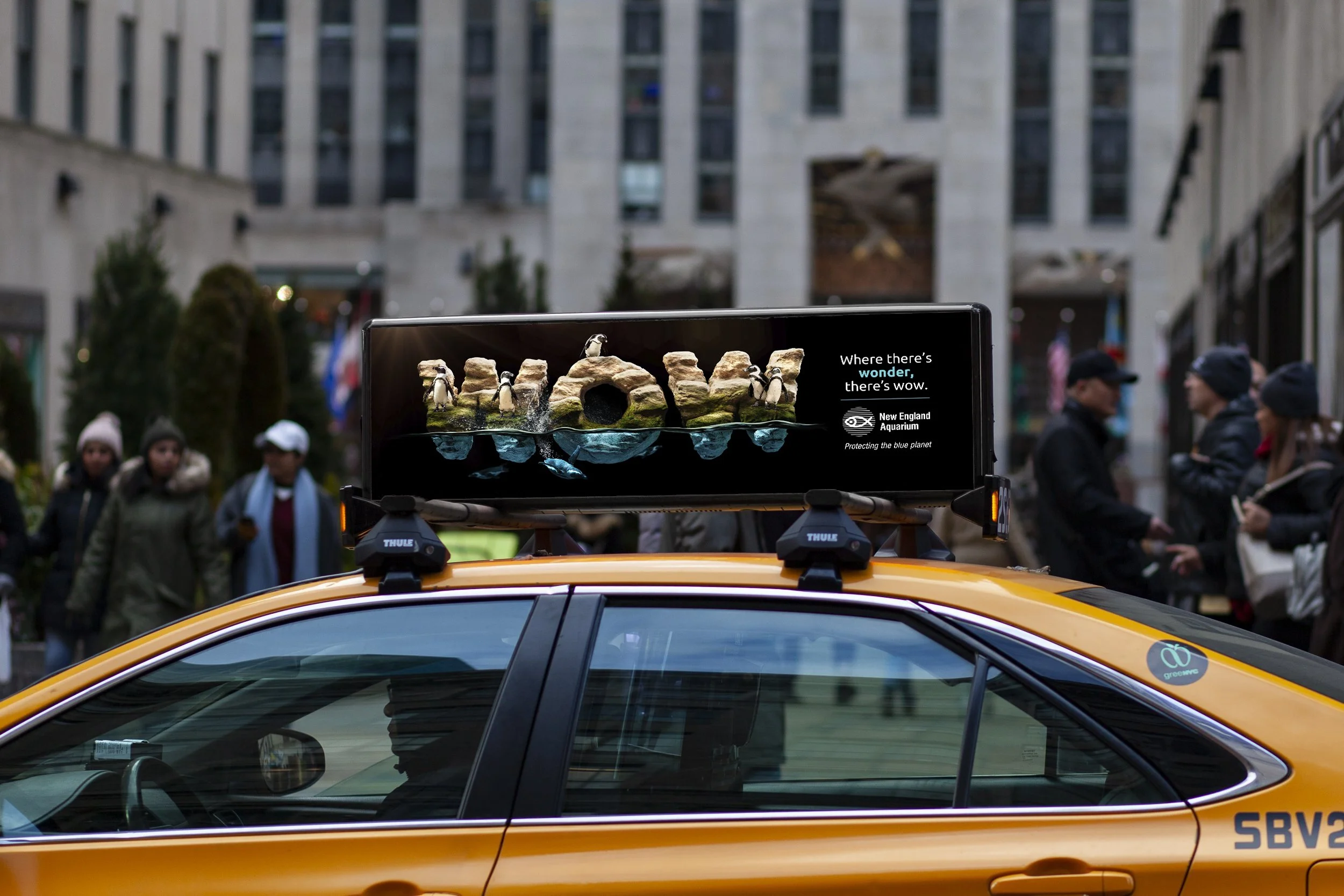TaxiTop_NEAq.jpg