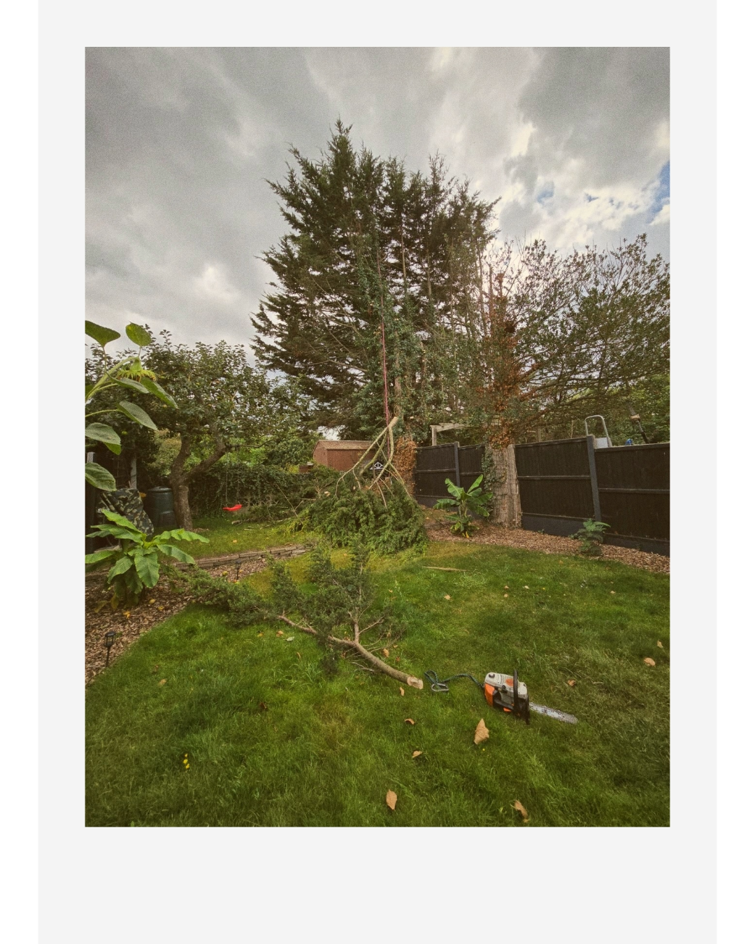 Backyard with a fallen tree branch and chainsaw on the lawn