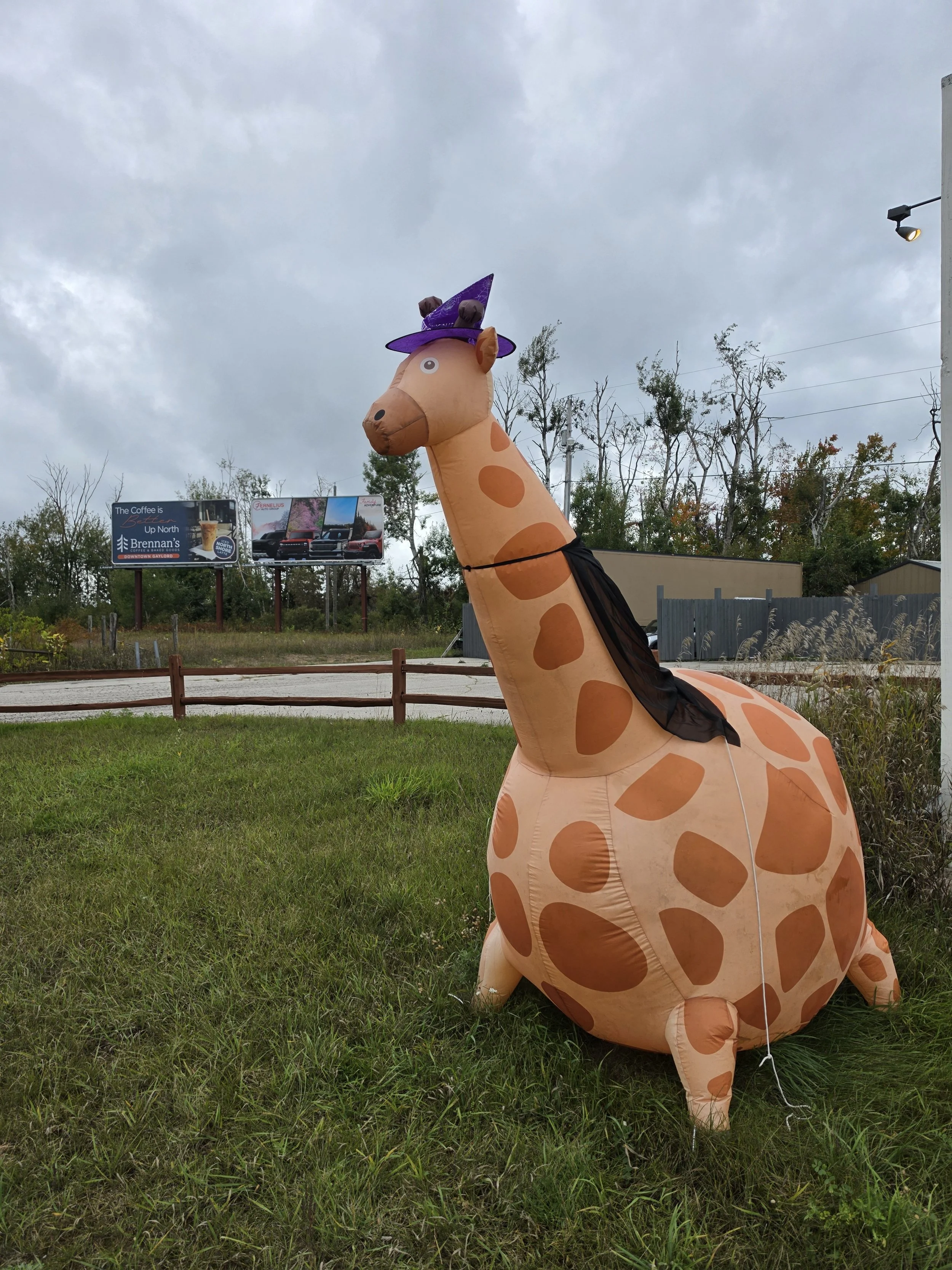 Arthur the giraffe! He helps people find the studio.