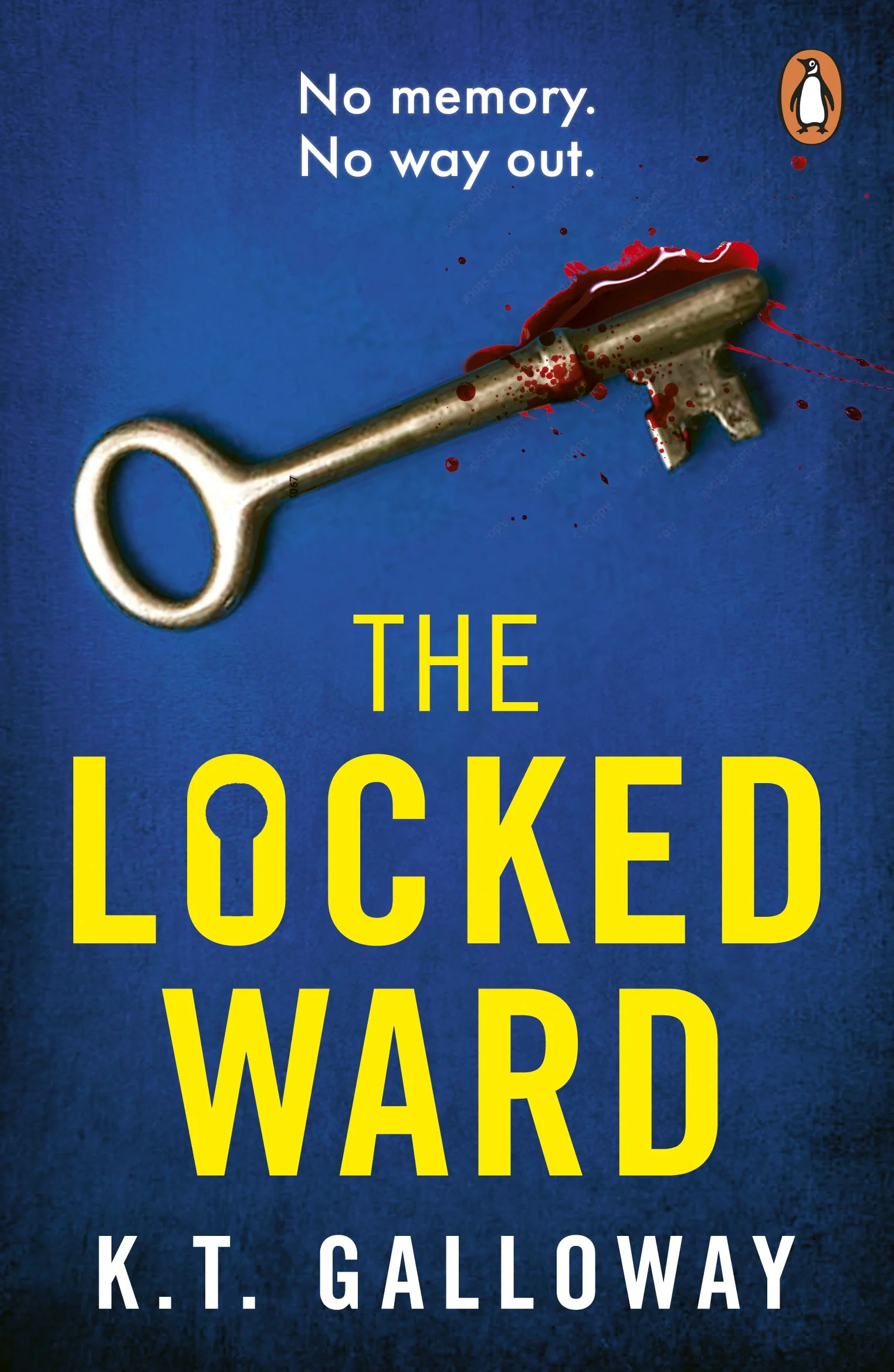 locked ward 4.jpg