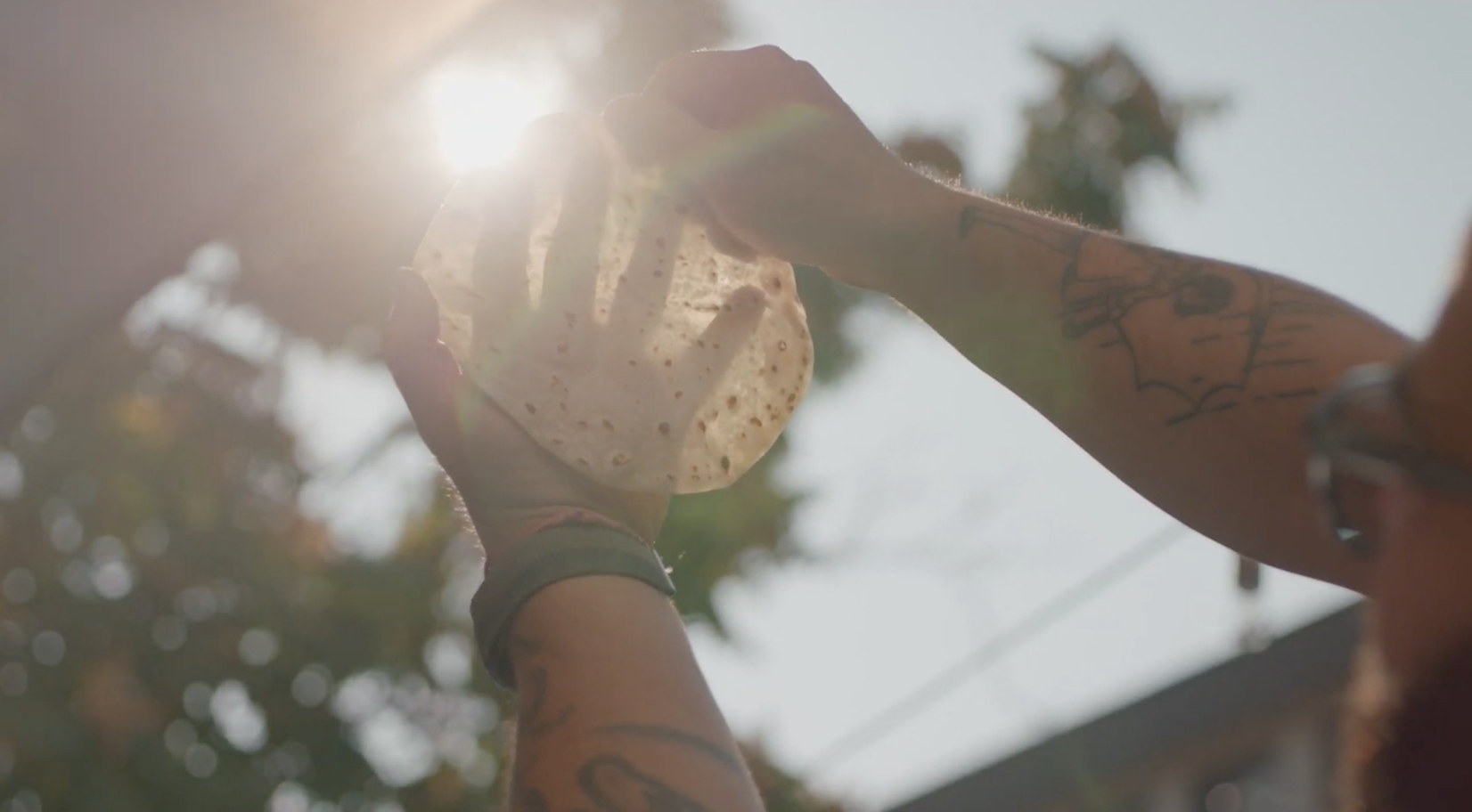 Person holding a sponge in sunlight with trees in the background.