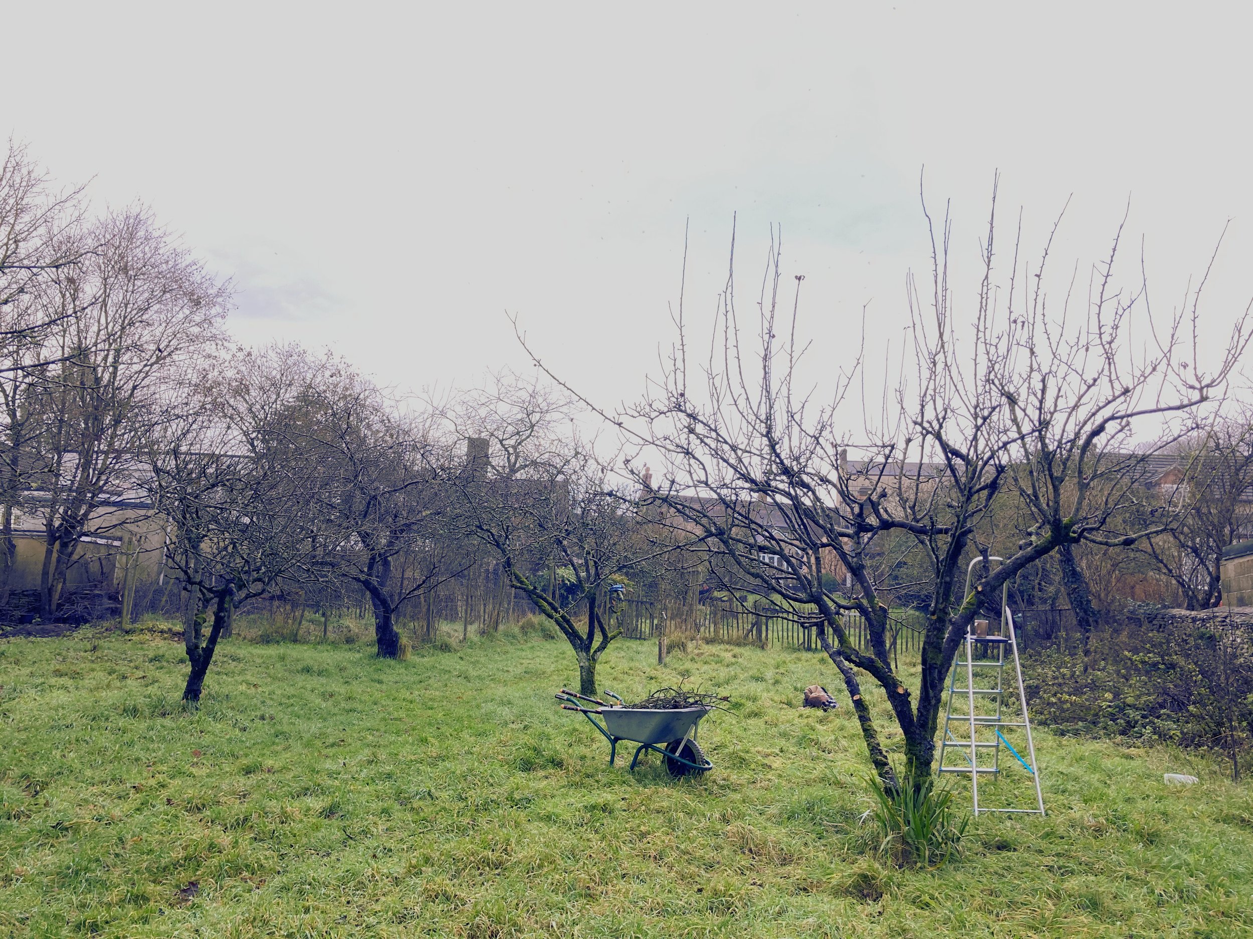 Lessons From The Orchard