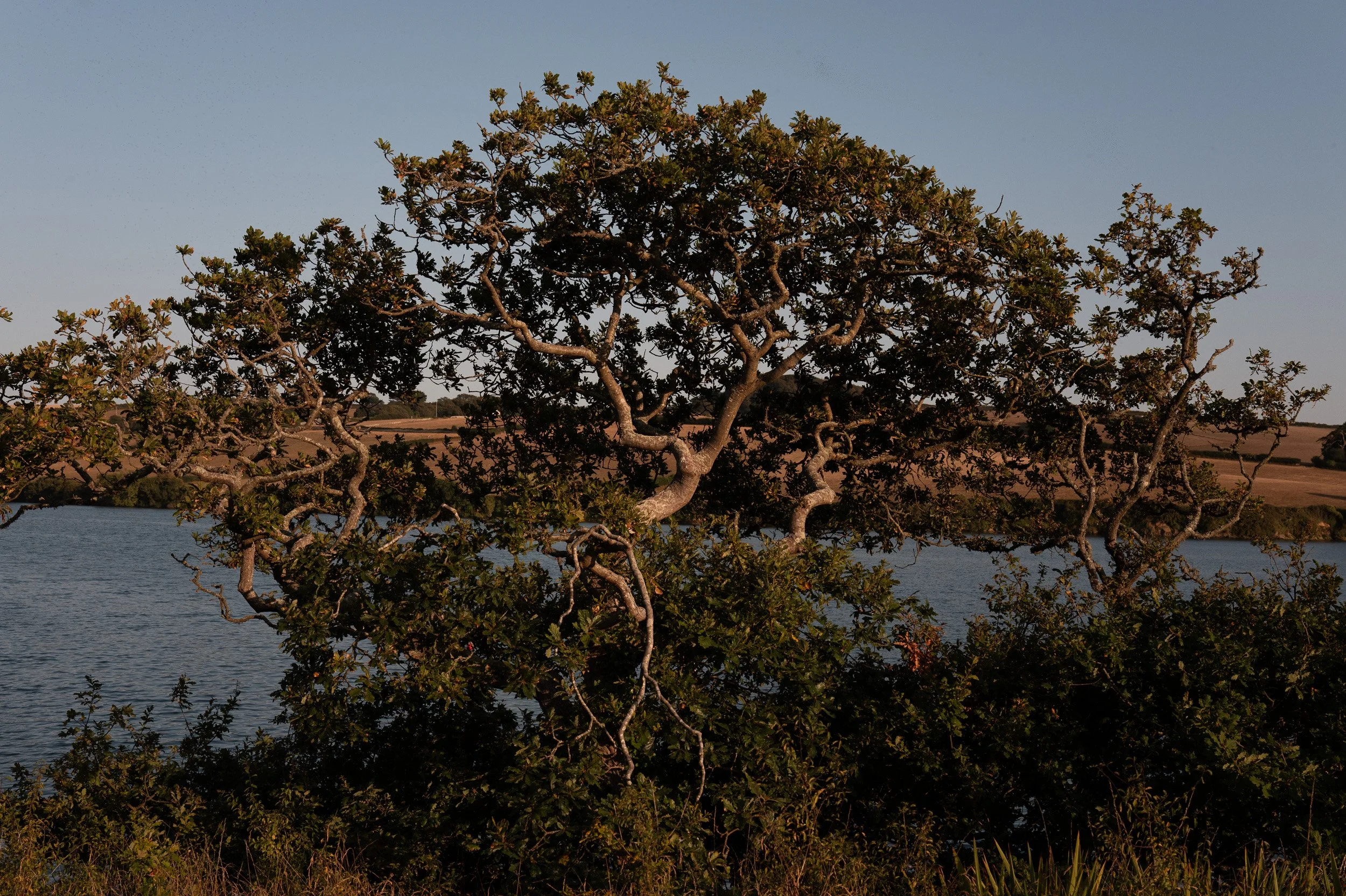 firstsquarespacephotos-4.jpg