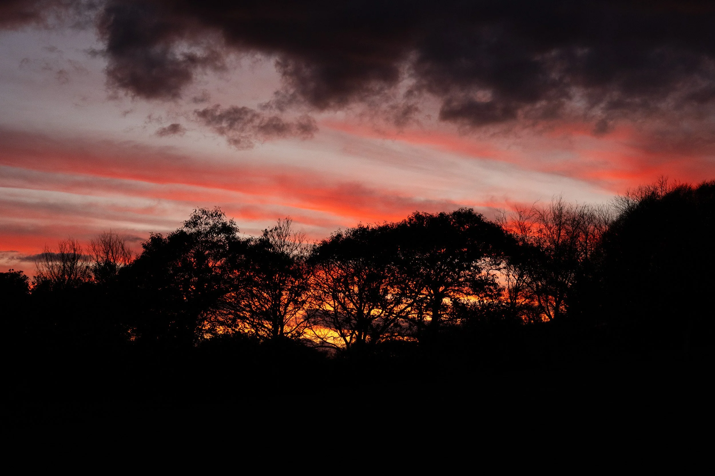 firstsquarespacephotos-7.jpg