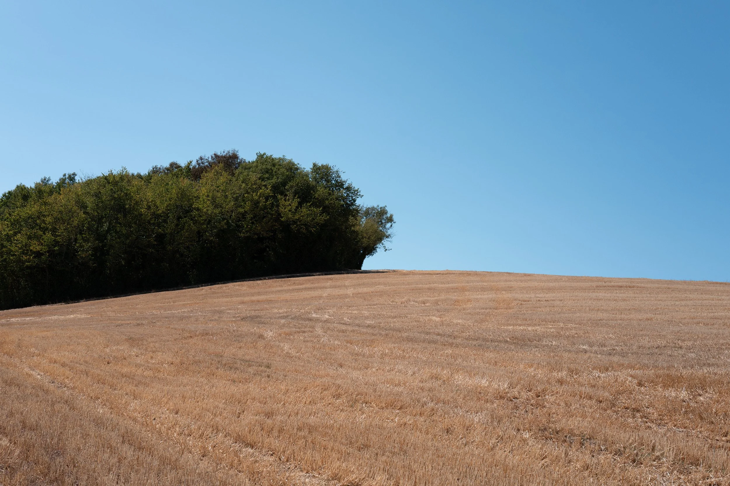 firstsquarespacephotos-5.jpg