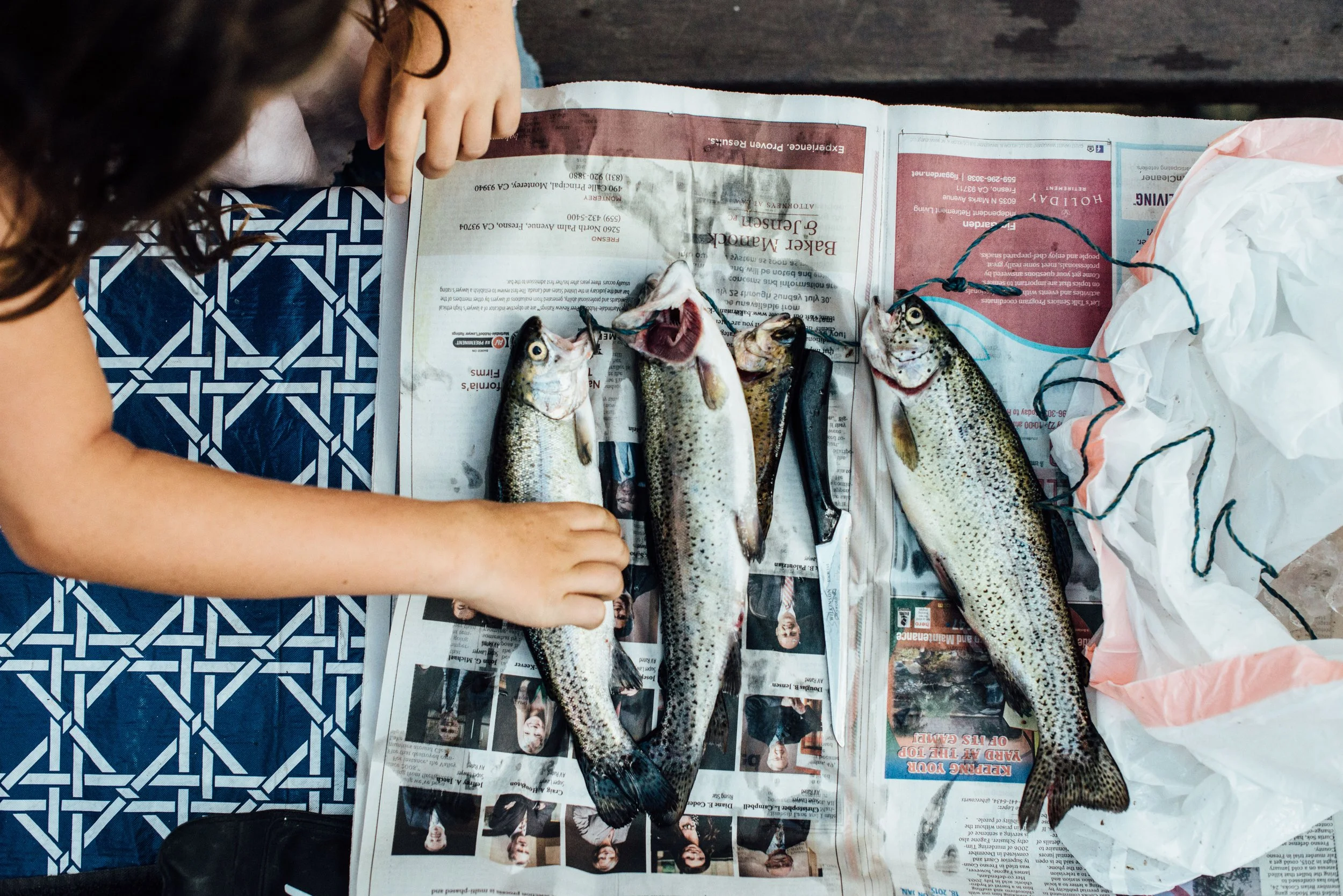 A child is laying out four caught fish on a newspaper, with a pair of pliers and some string nearby, on a blue patterned surface.