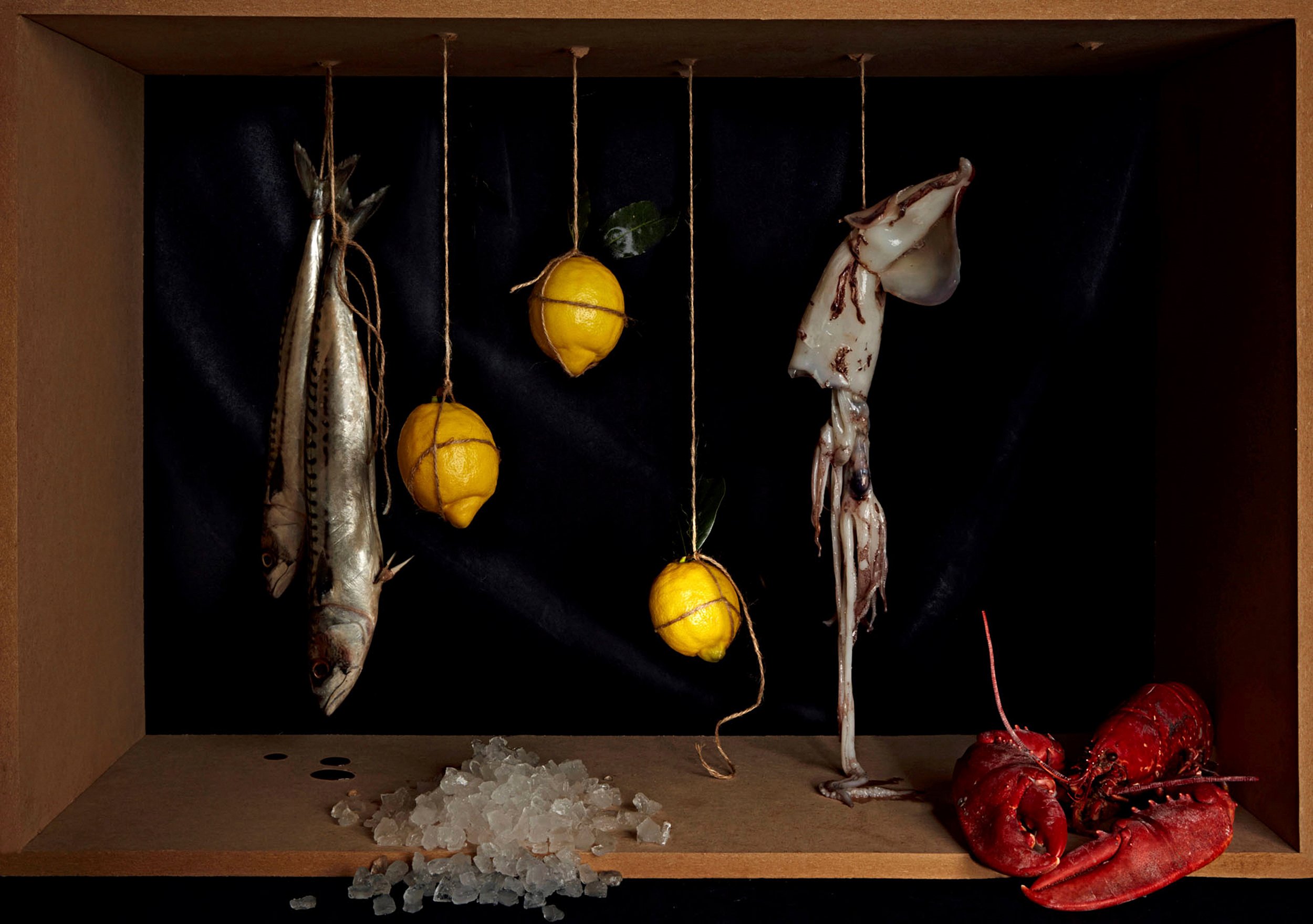 Hanging Food_lobster.jpg