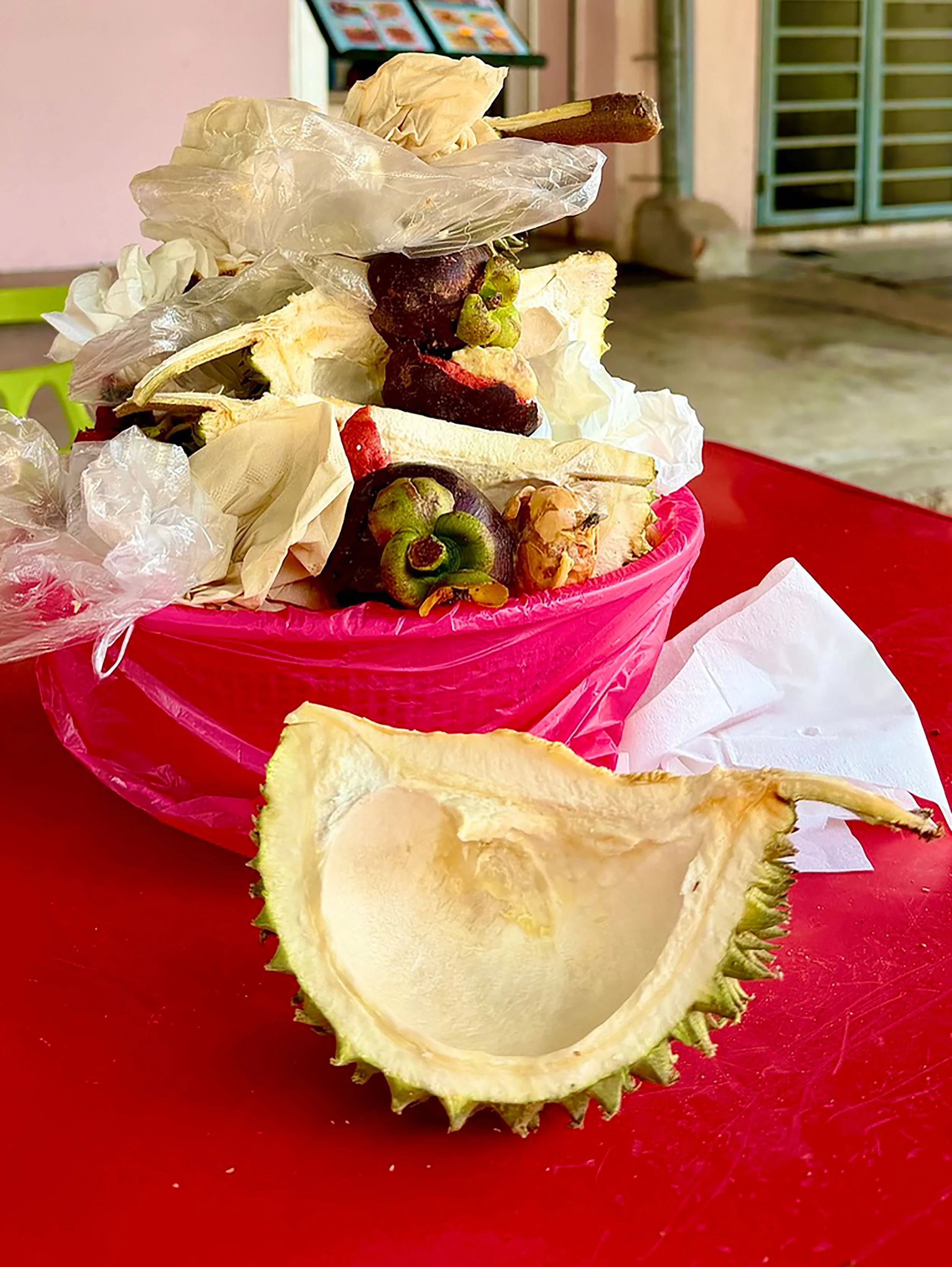 003_LOUISE HAGGER_FRUIT SHRINES_.jpg