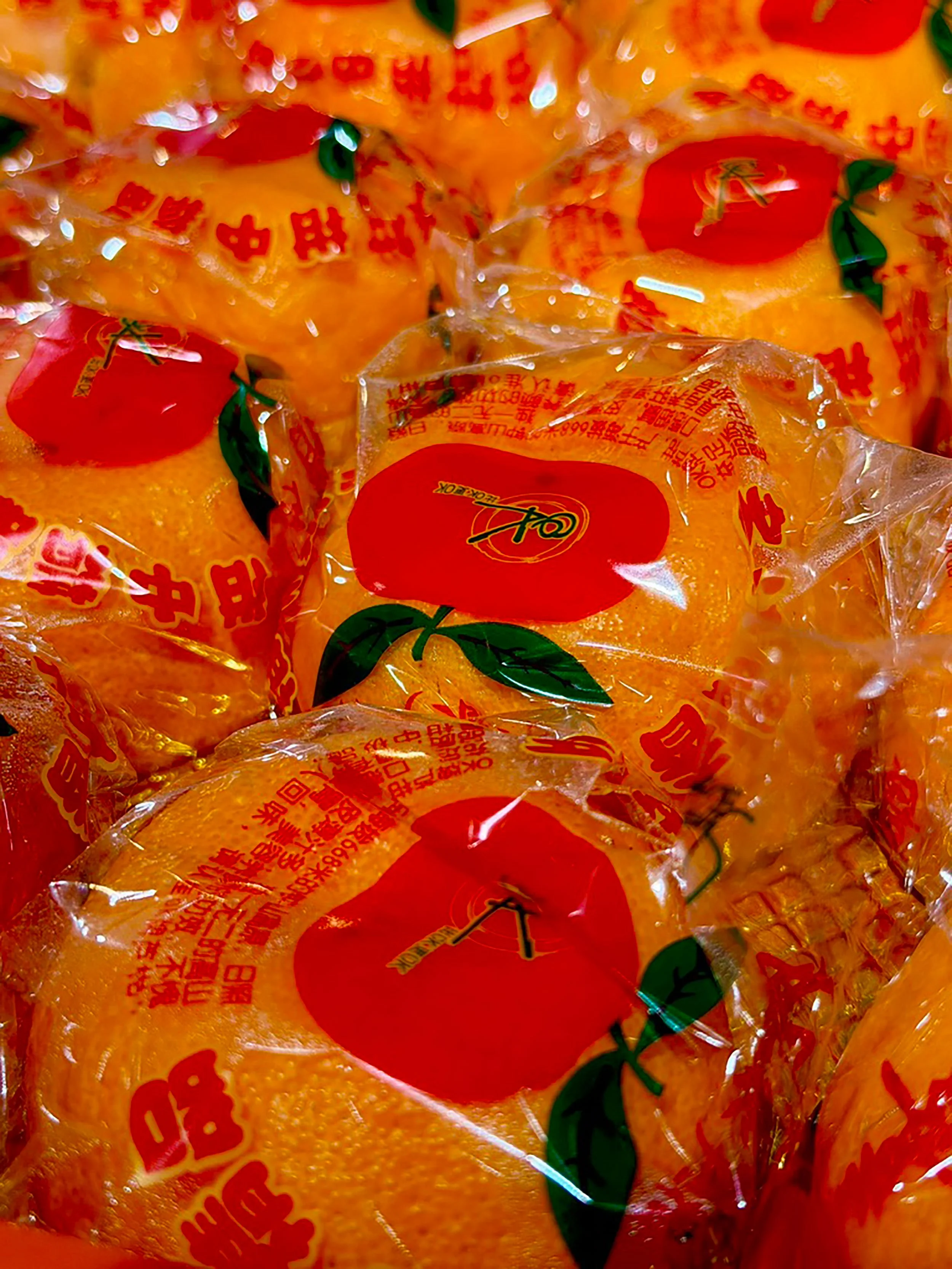 004_LOUISE HAGGER_FRUIT SHRINES_.jpg