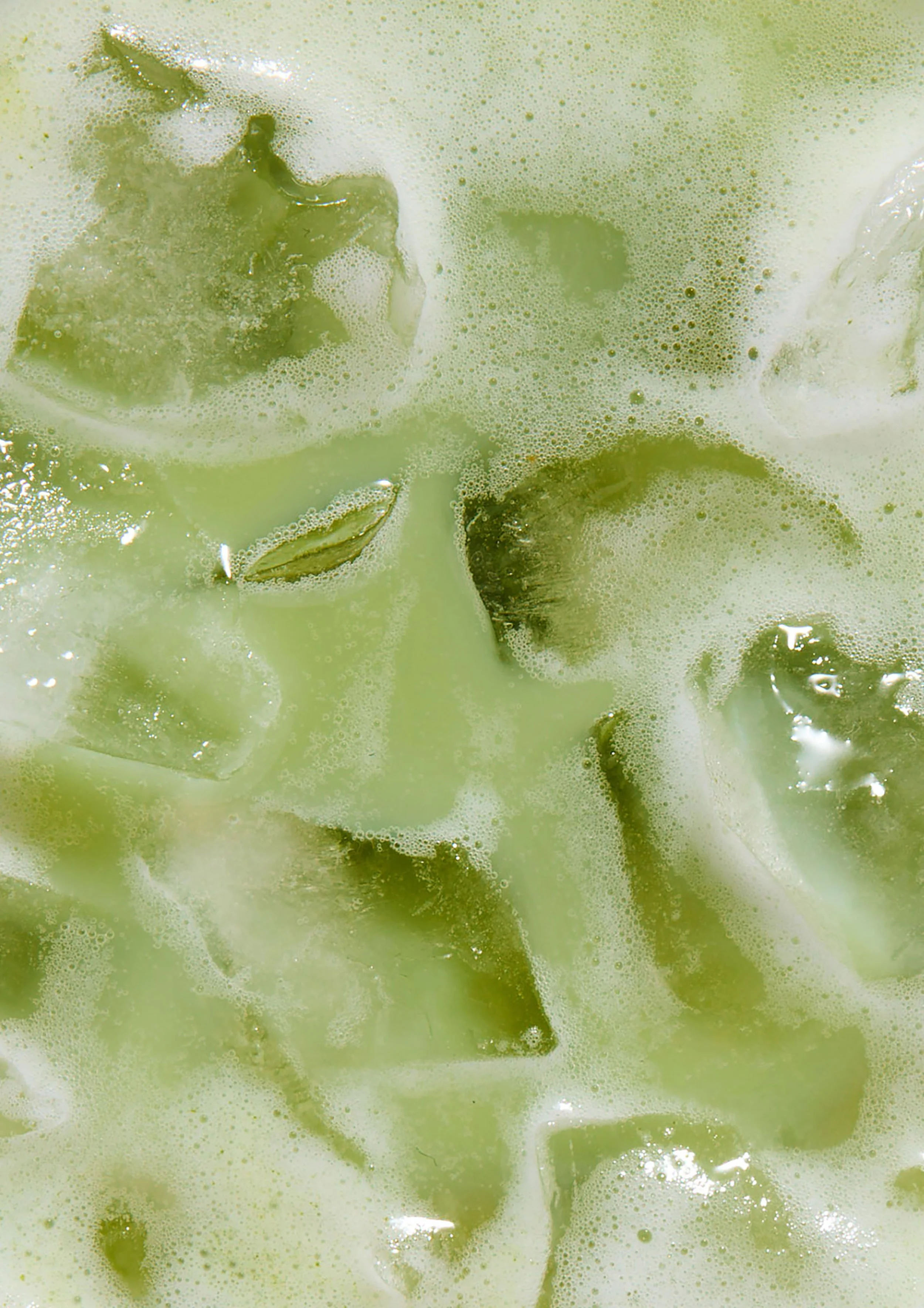 Close-up of green seaweed floating in foamy, bubbly water