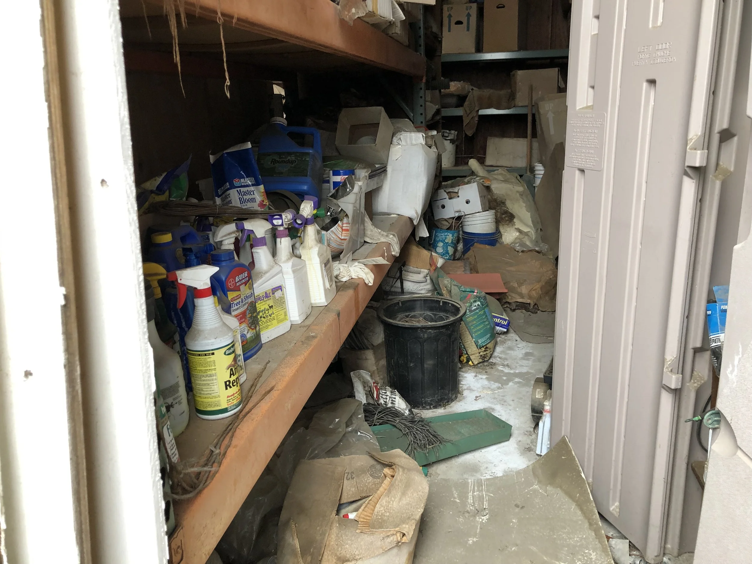 Cluttered garden shed filled with shelves, gardening tools, plant pots, cardboard boxes, and assorted weed-control and cleaning products