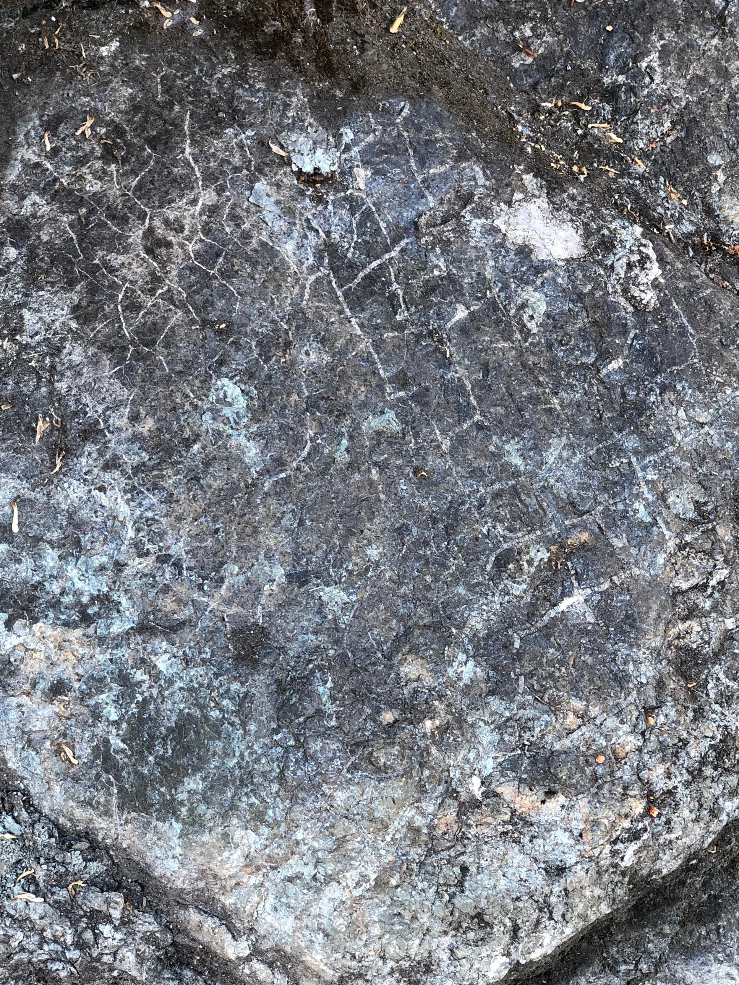 Chrysotile veins within serpentinite rock