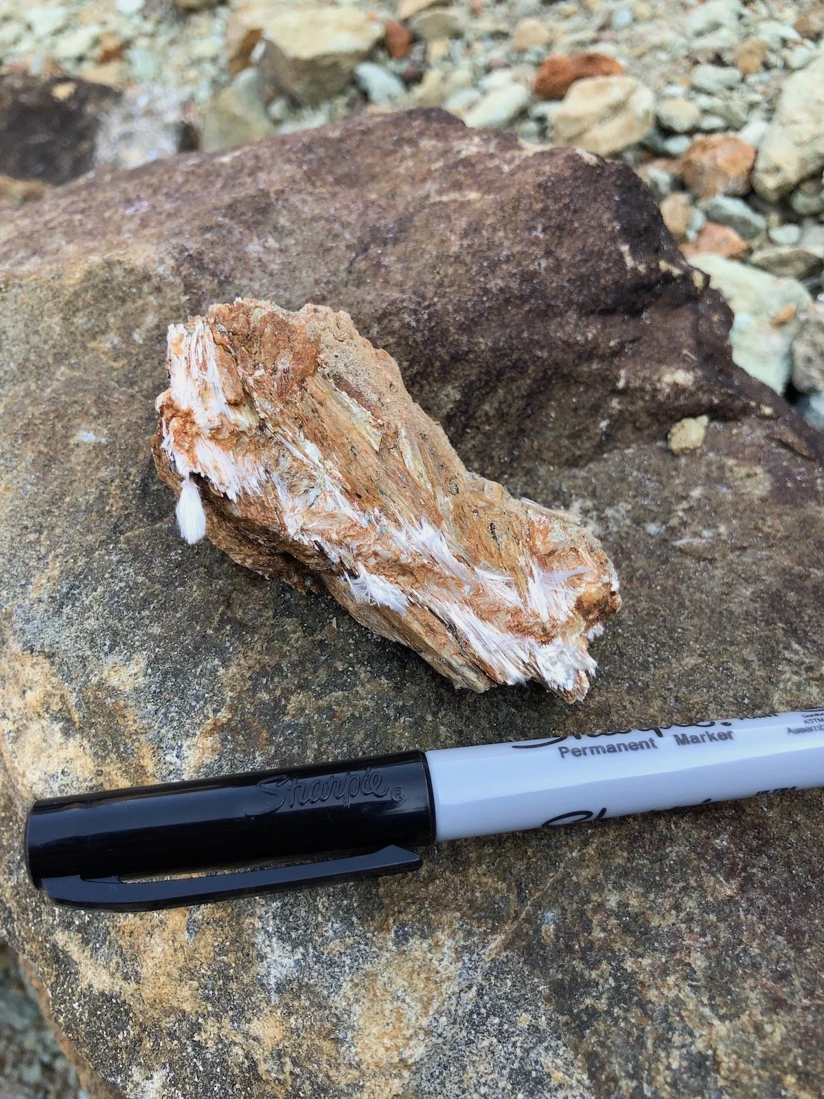 Close-up of a fibrous brown mineral specimen with white crystalline fibers beside a black and white Sharpie marker on rocks