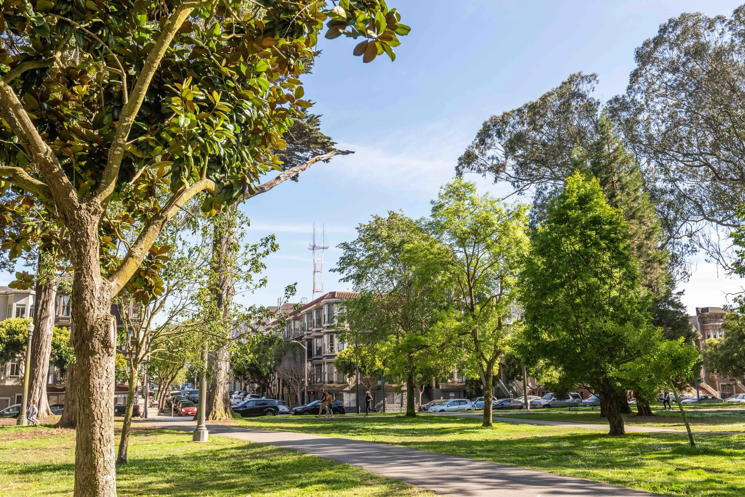 A sunny park scene with large trees, green grass, a concrete pathway, parked cars, residential buildings, and people walking.