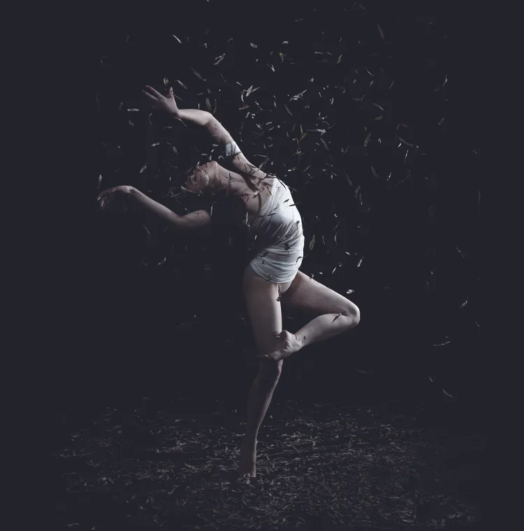 Beijing Dance Theater