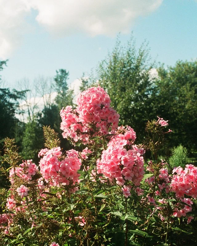 0008_###-3.jpg