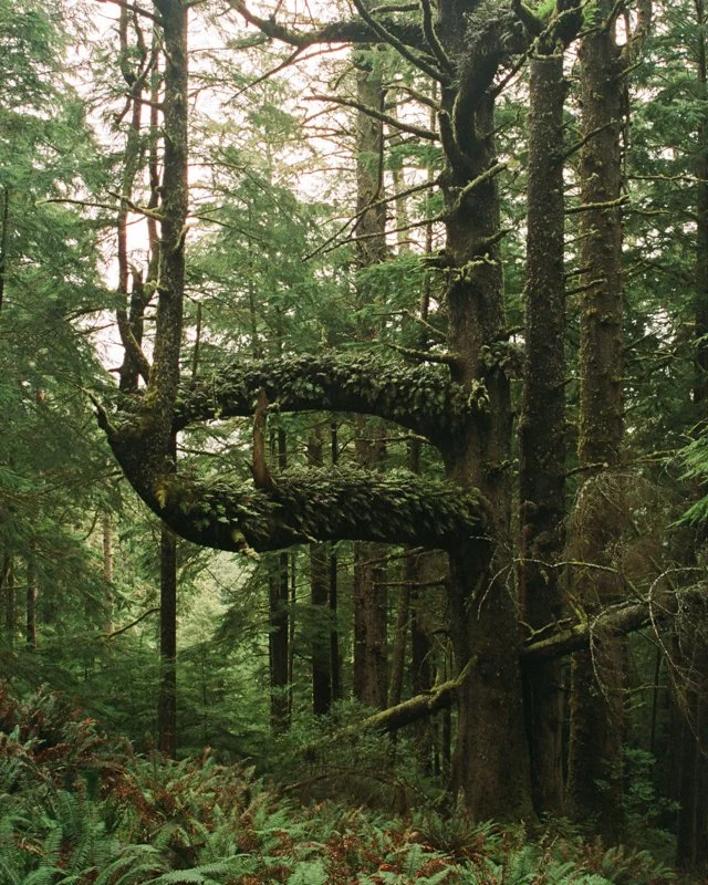 photo (9).jpg