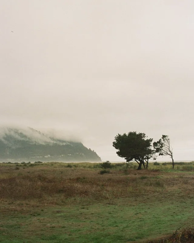 photo (29).jpg