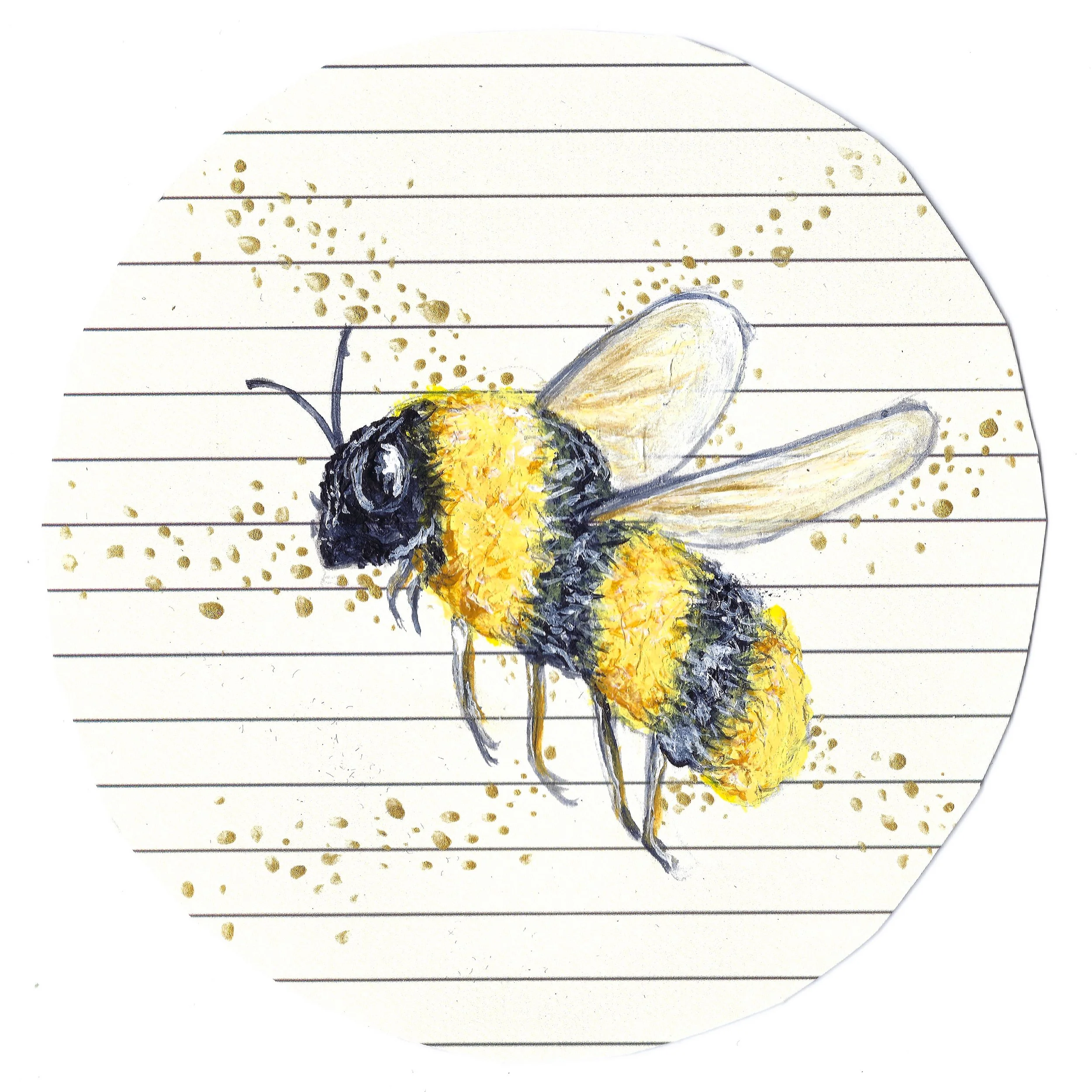 BumbleBee.jpg