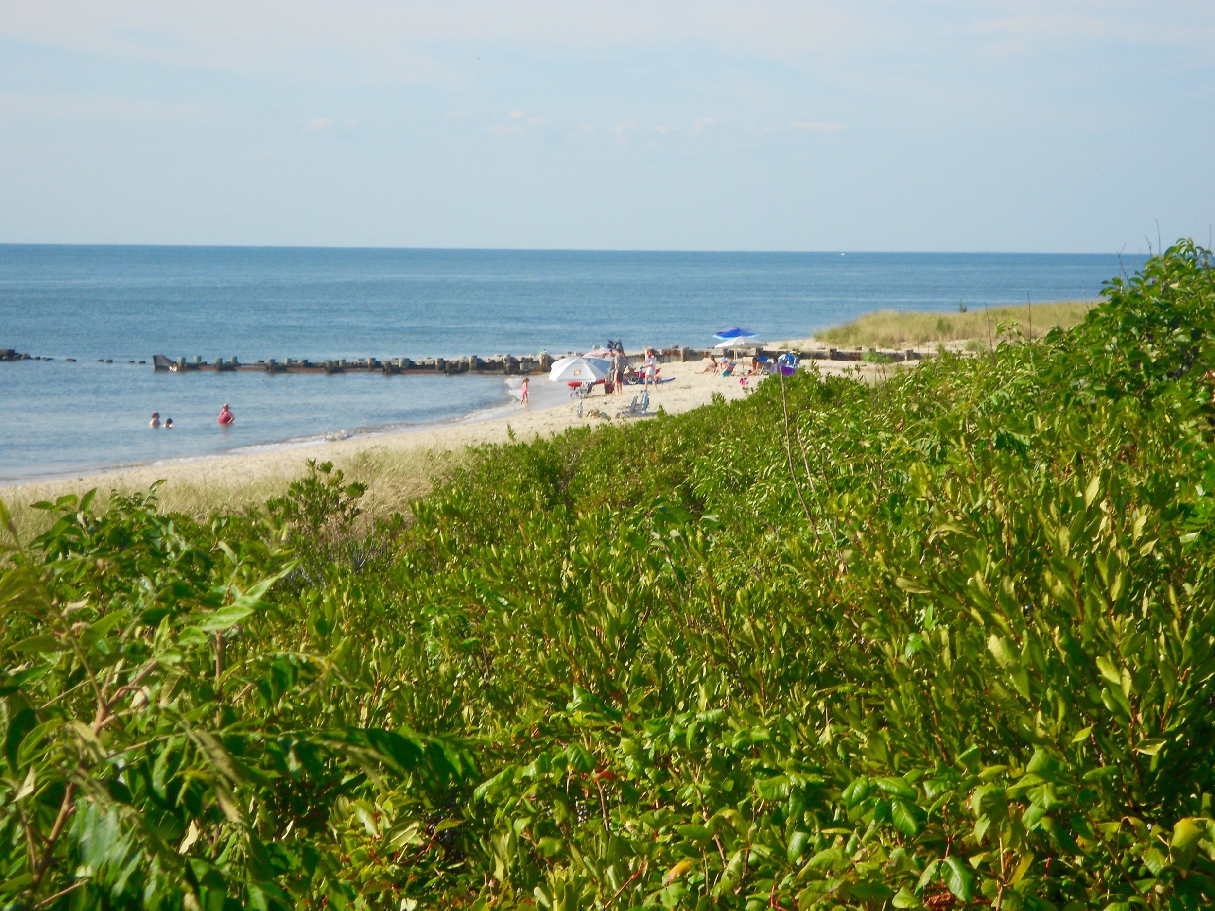 Delaware Bay shoreline in North Cape May, New Jersey