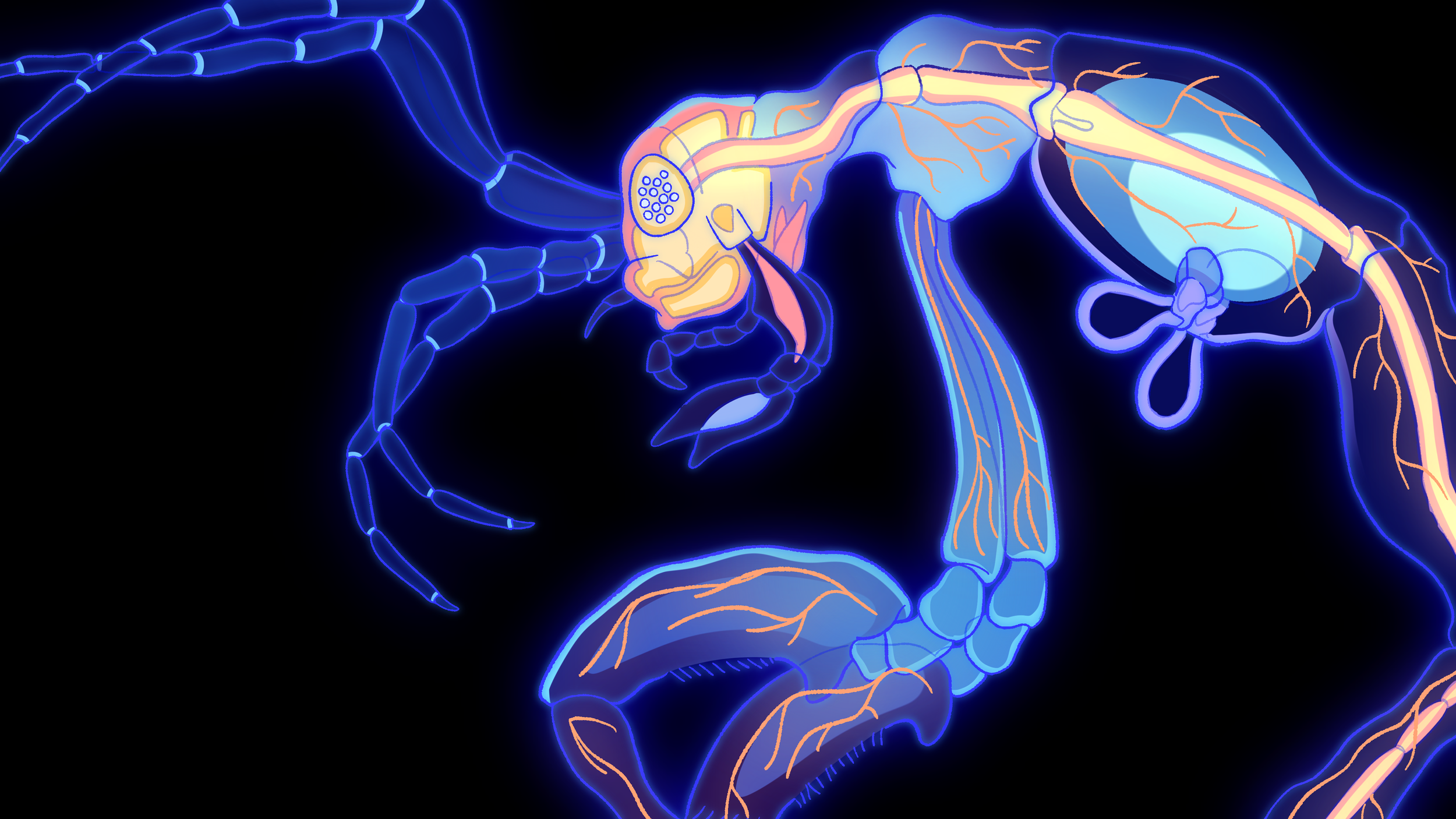 IMG_4987.PNG