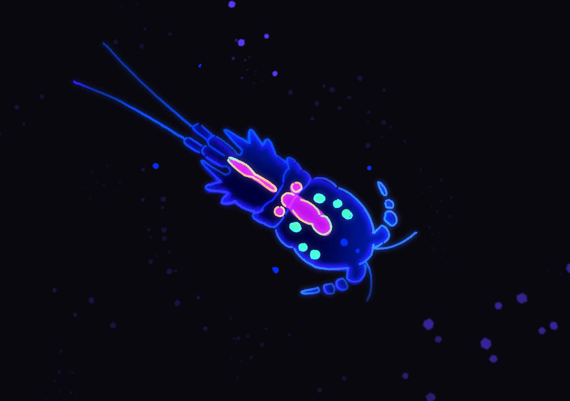 IMG_4981.PNG