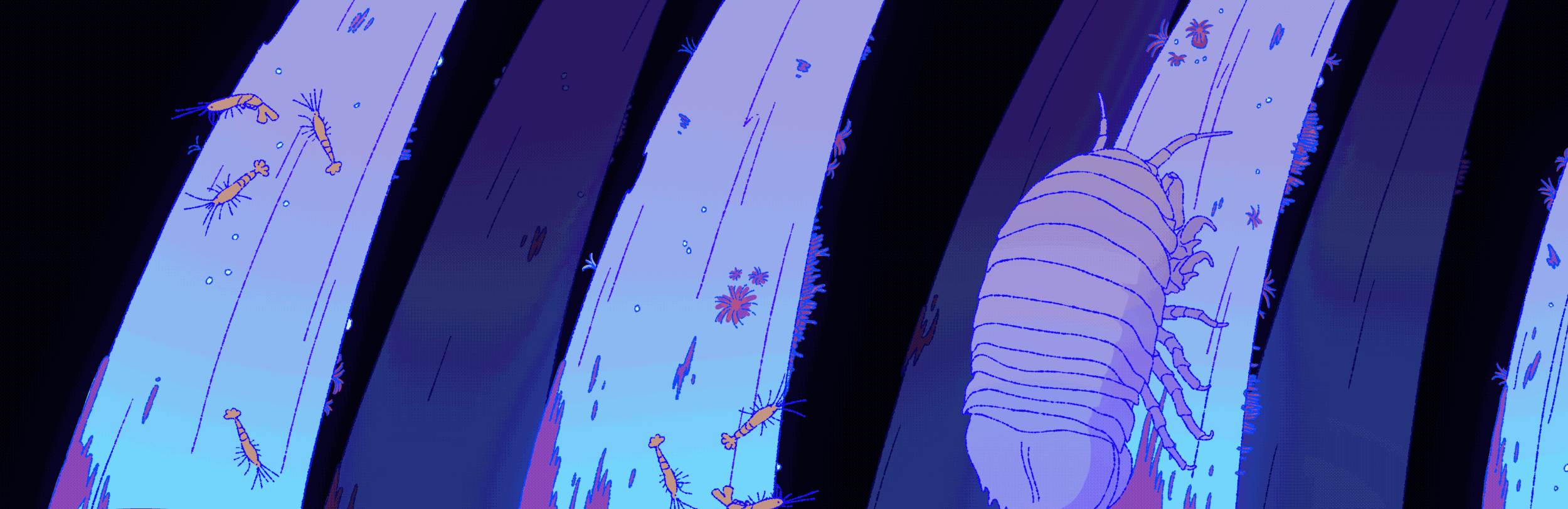 Untitled_Artwork 2.gif